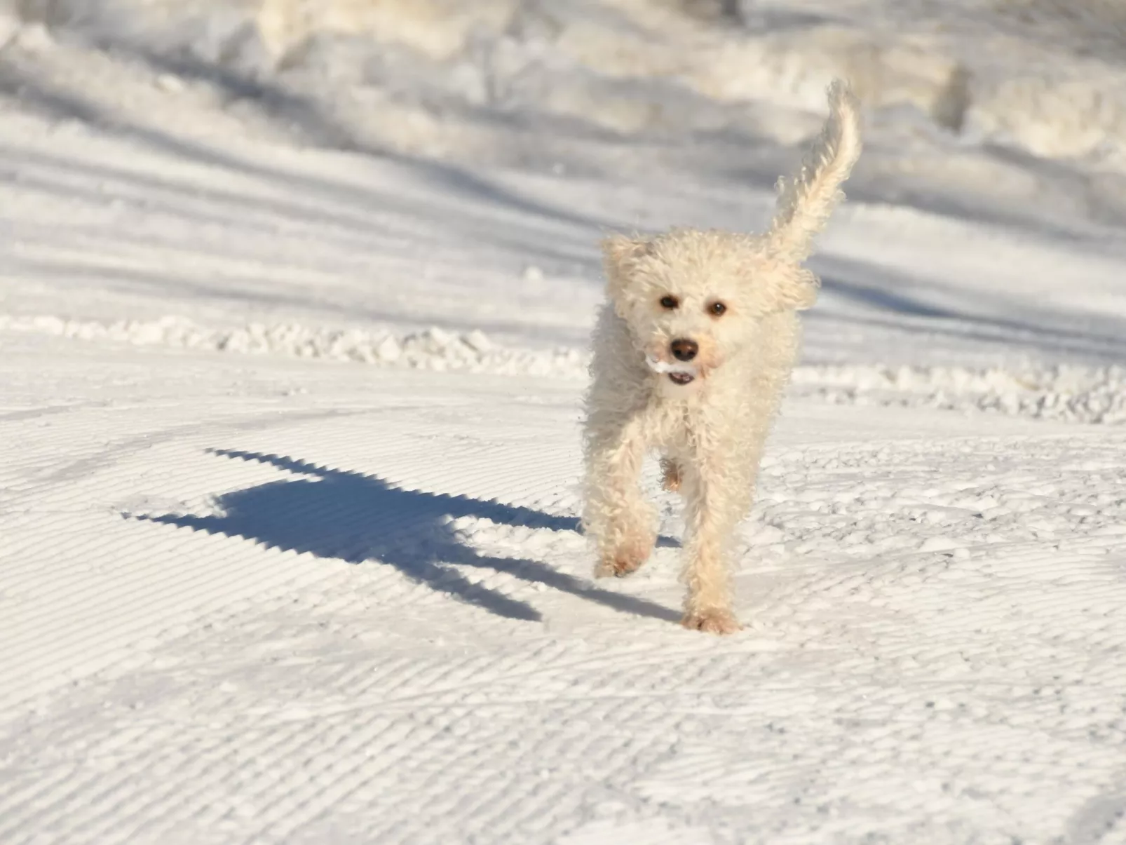 Mit Garten und Spielplatznutzung-Buiten