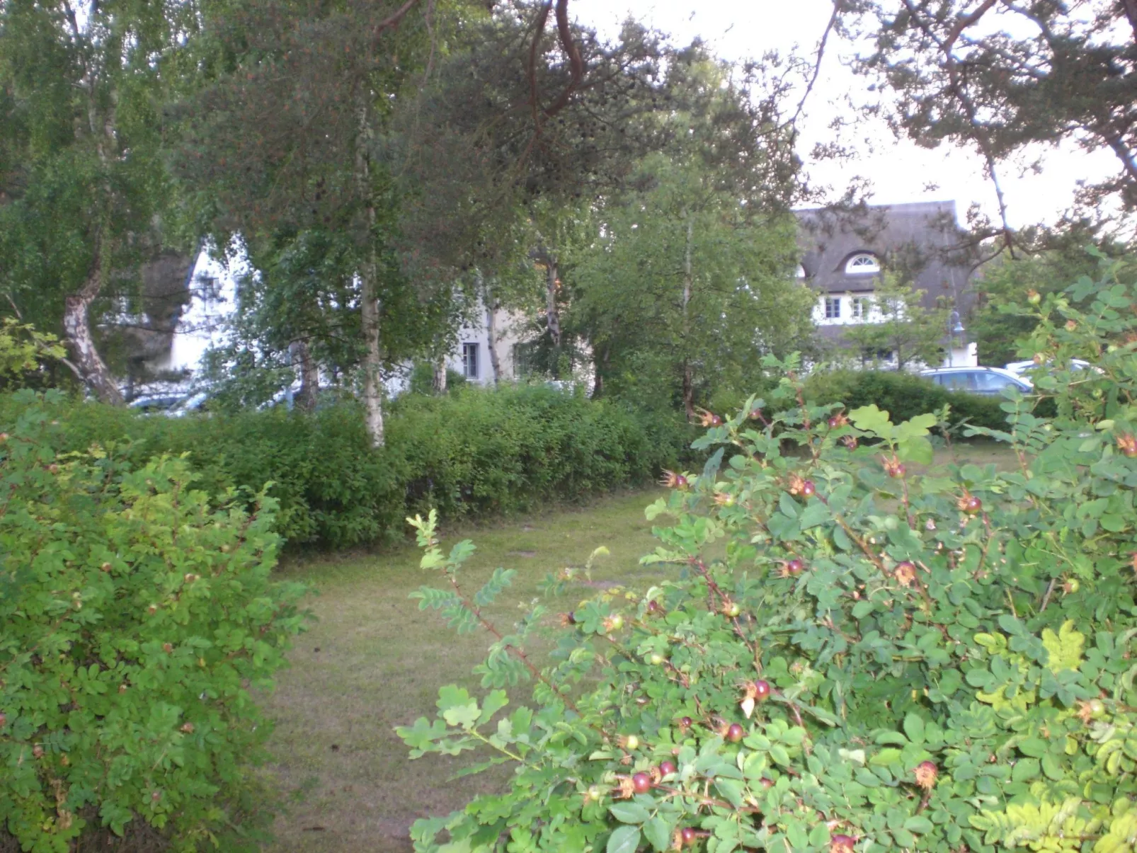 Appartement Achtern-Diek-am-Strand in Zingst-Buiten