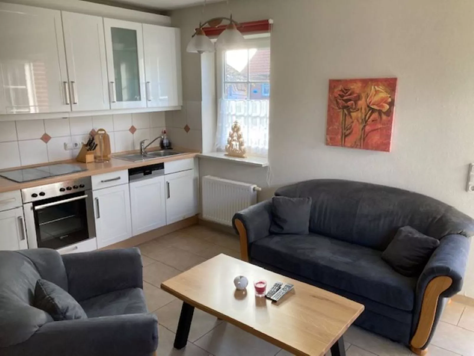 Seerobbe in Norden-Image-tags.info