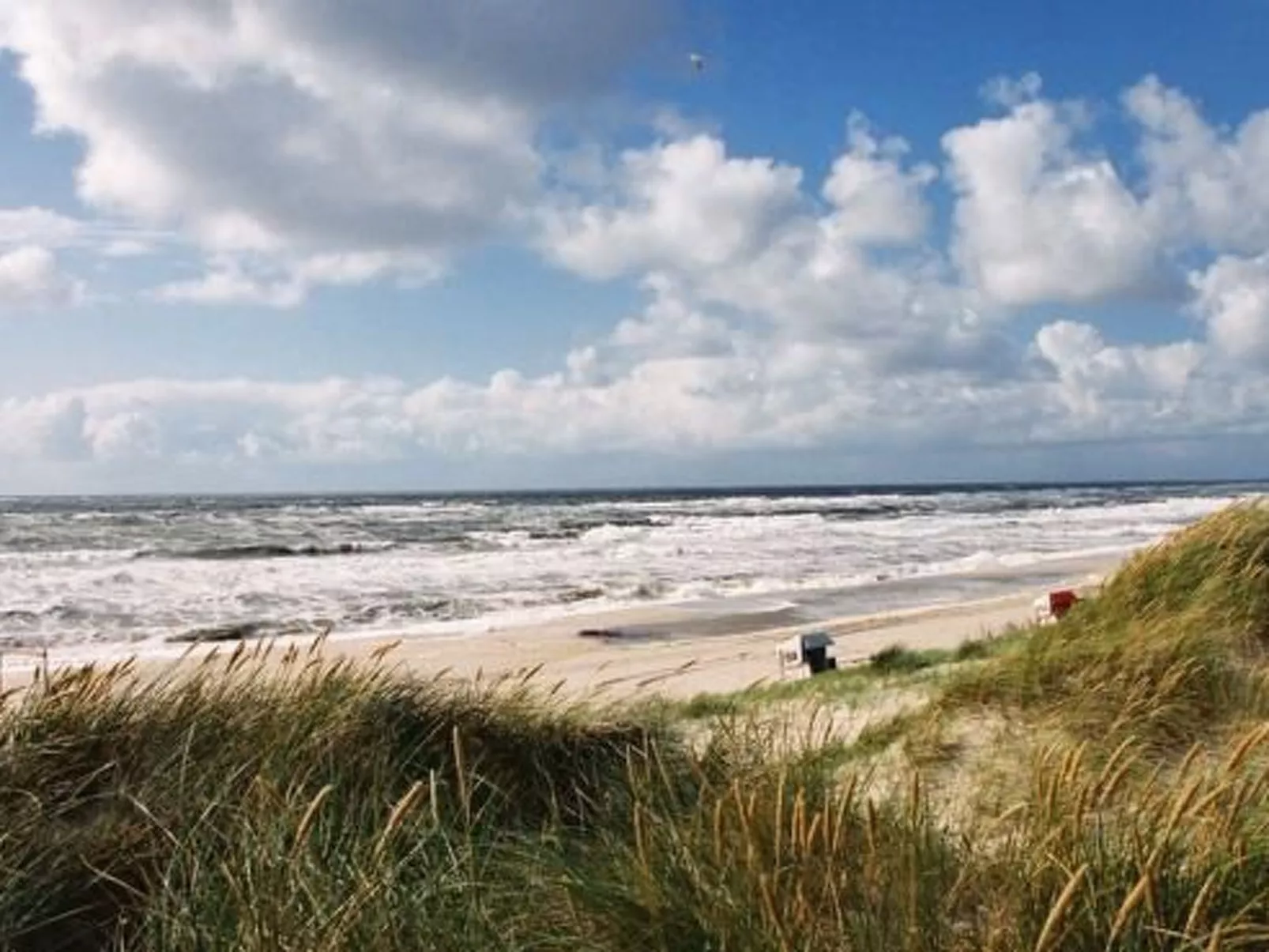 Luxuriöses Apartment in Reetdachhaus-Buiten