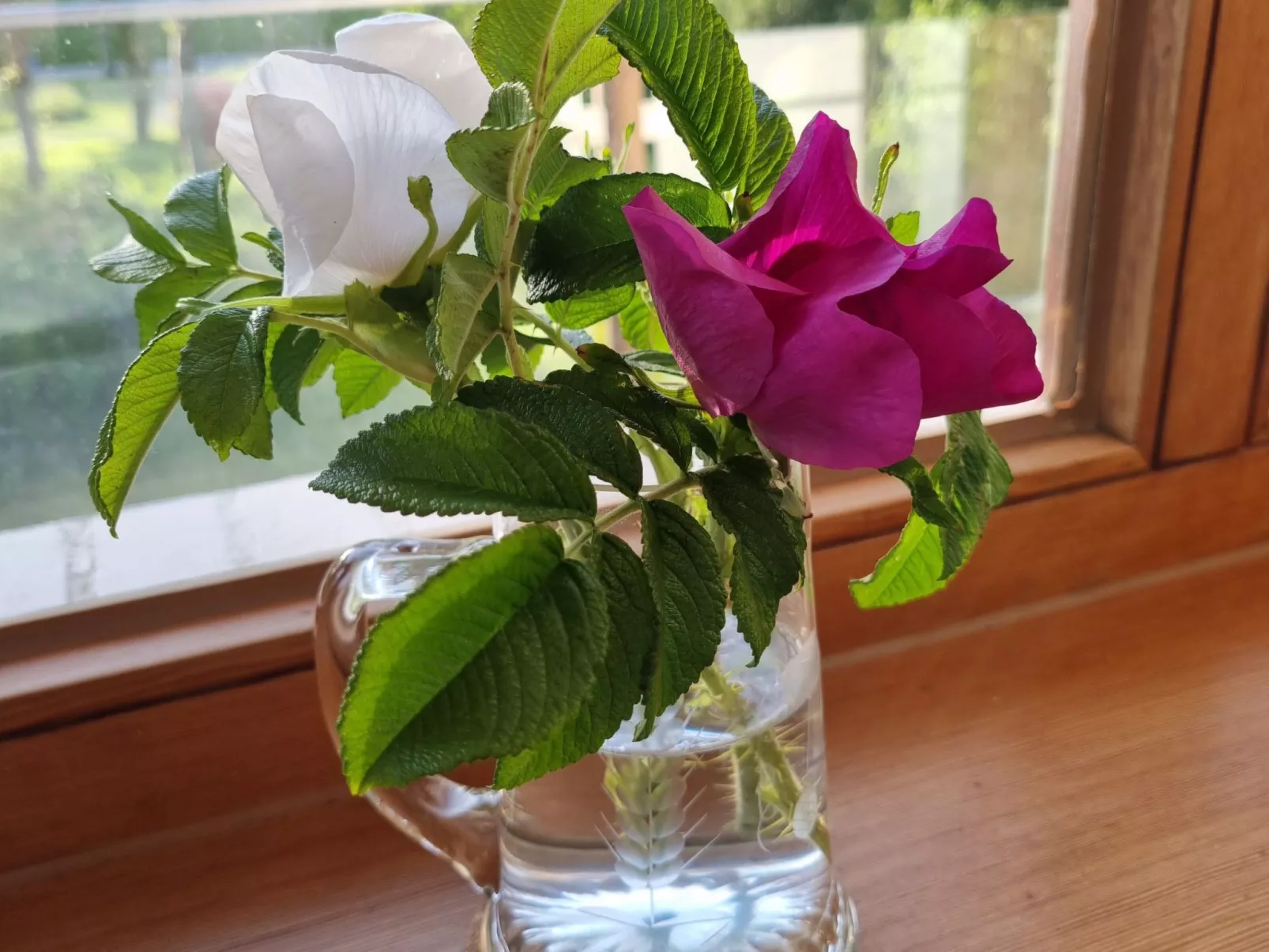 Ankerplatz 54 Grad-Binnen