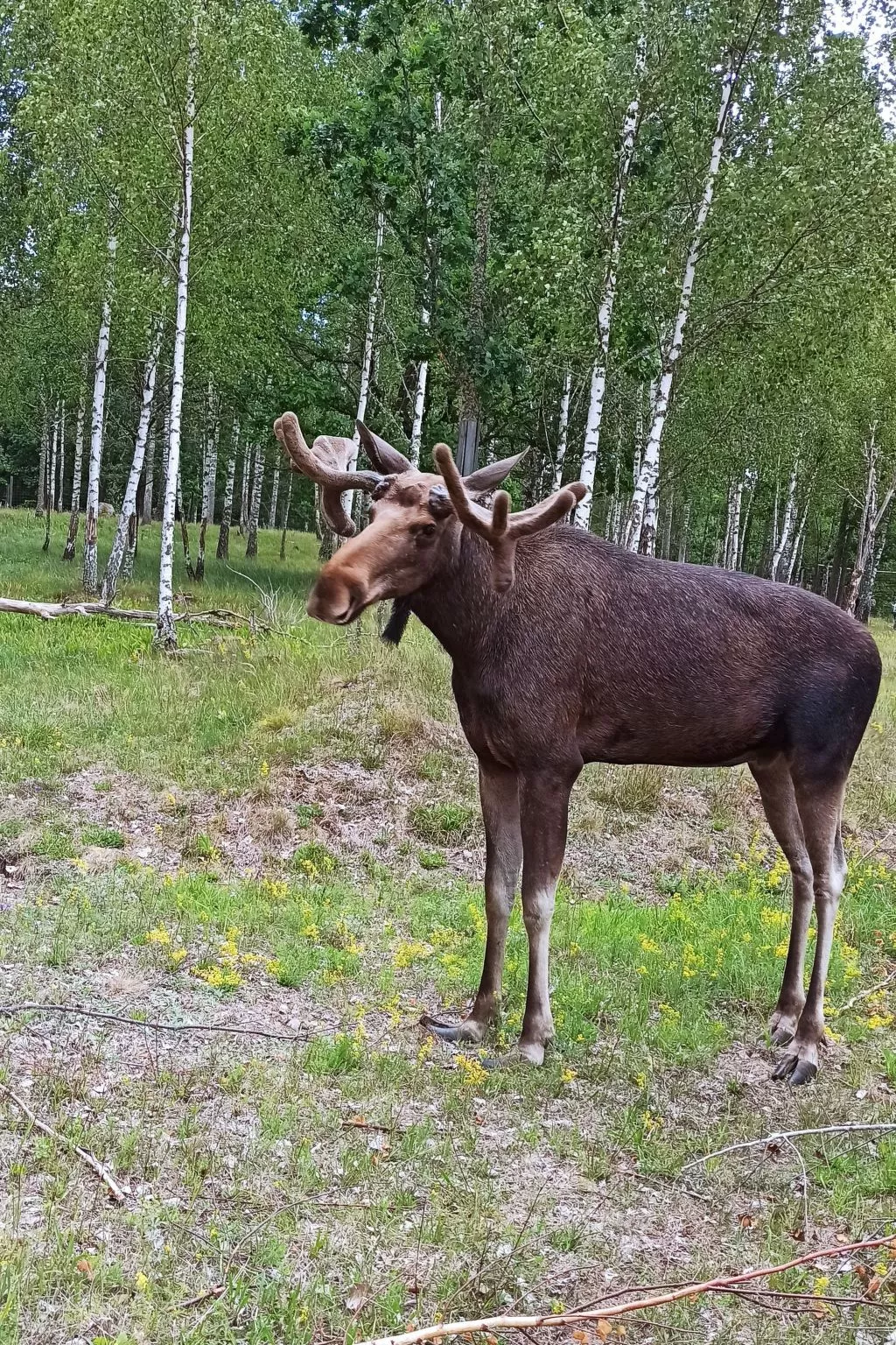 Haus zum Wohlfühlen-Image-tags.info