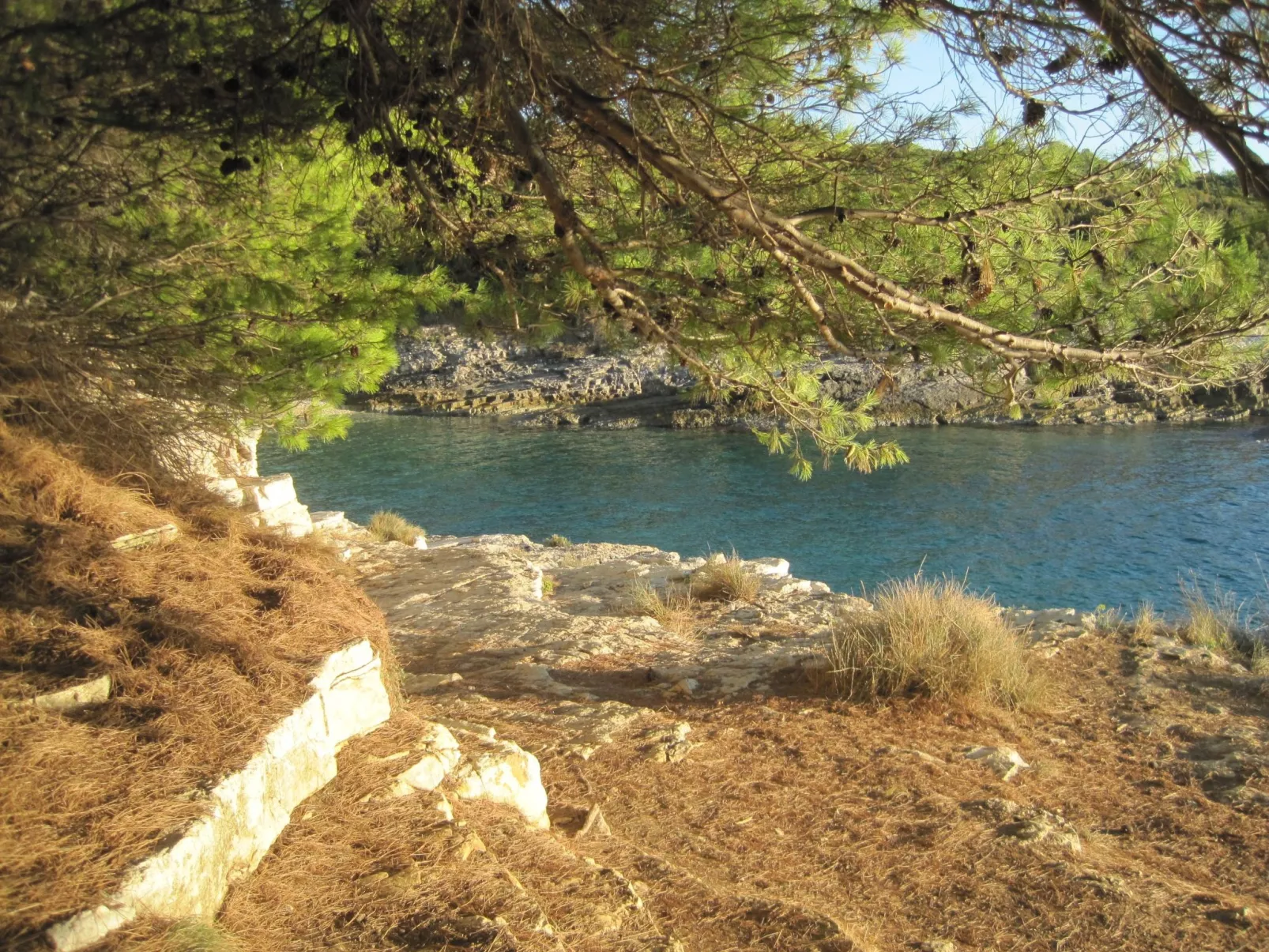 Ferienwohnung-Buiten