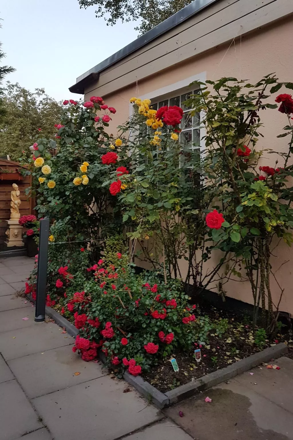 Camp  de Mar - Buiten