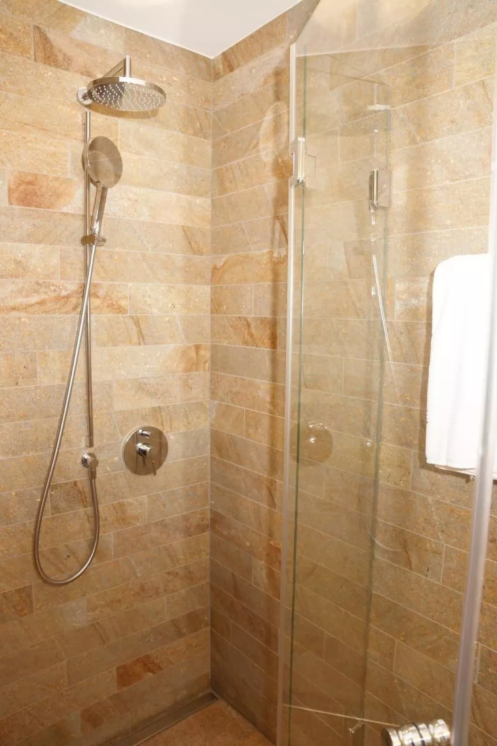 Soldanella 5-Image-tags.info