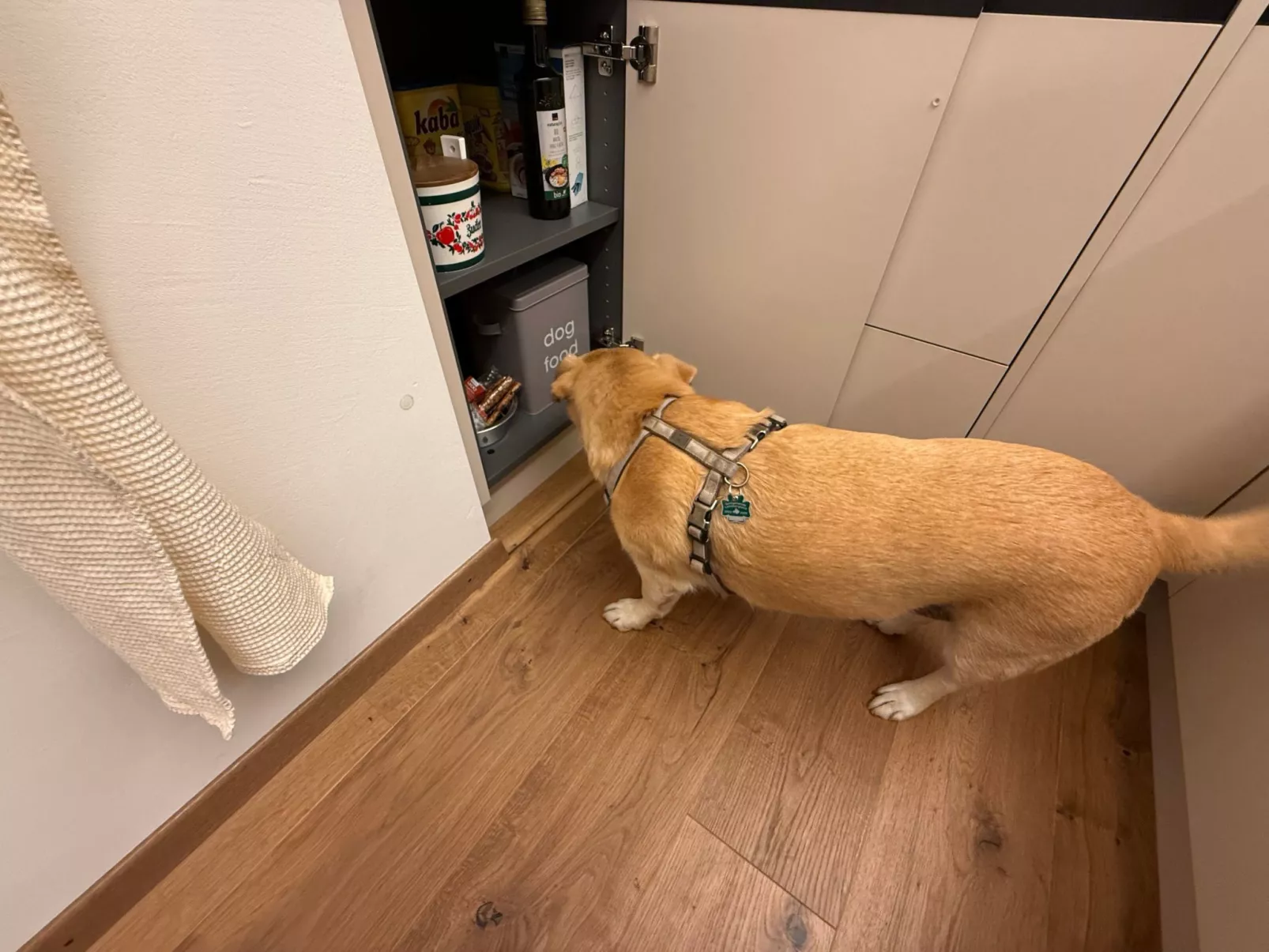 Chesa Müsella-Binnen