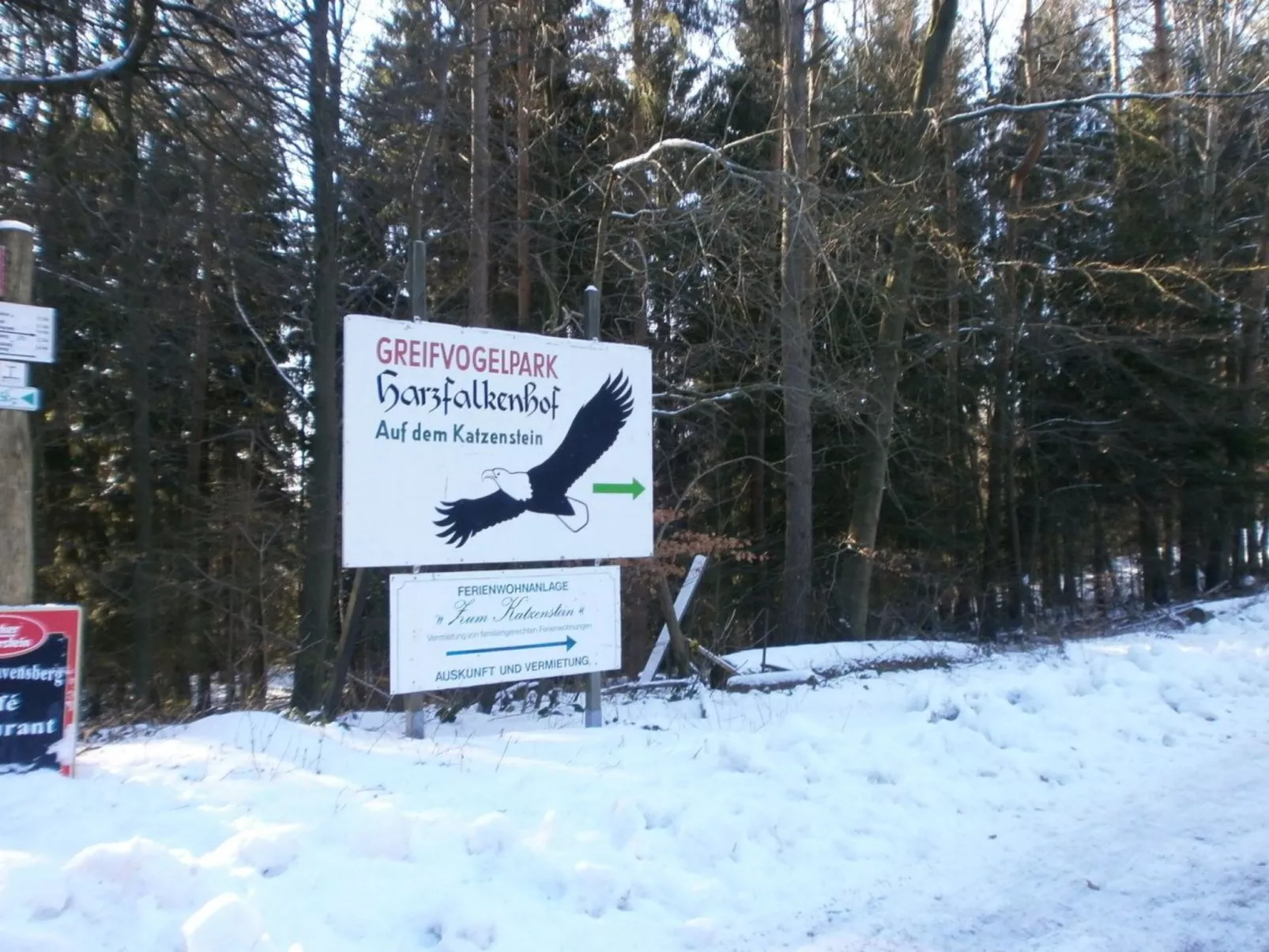 Appartement in Steina mit Terrasse - Buiten