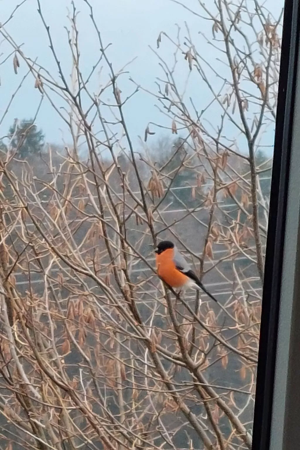 Chalet Aebnit-Buiten