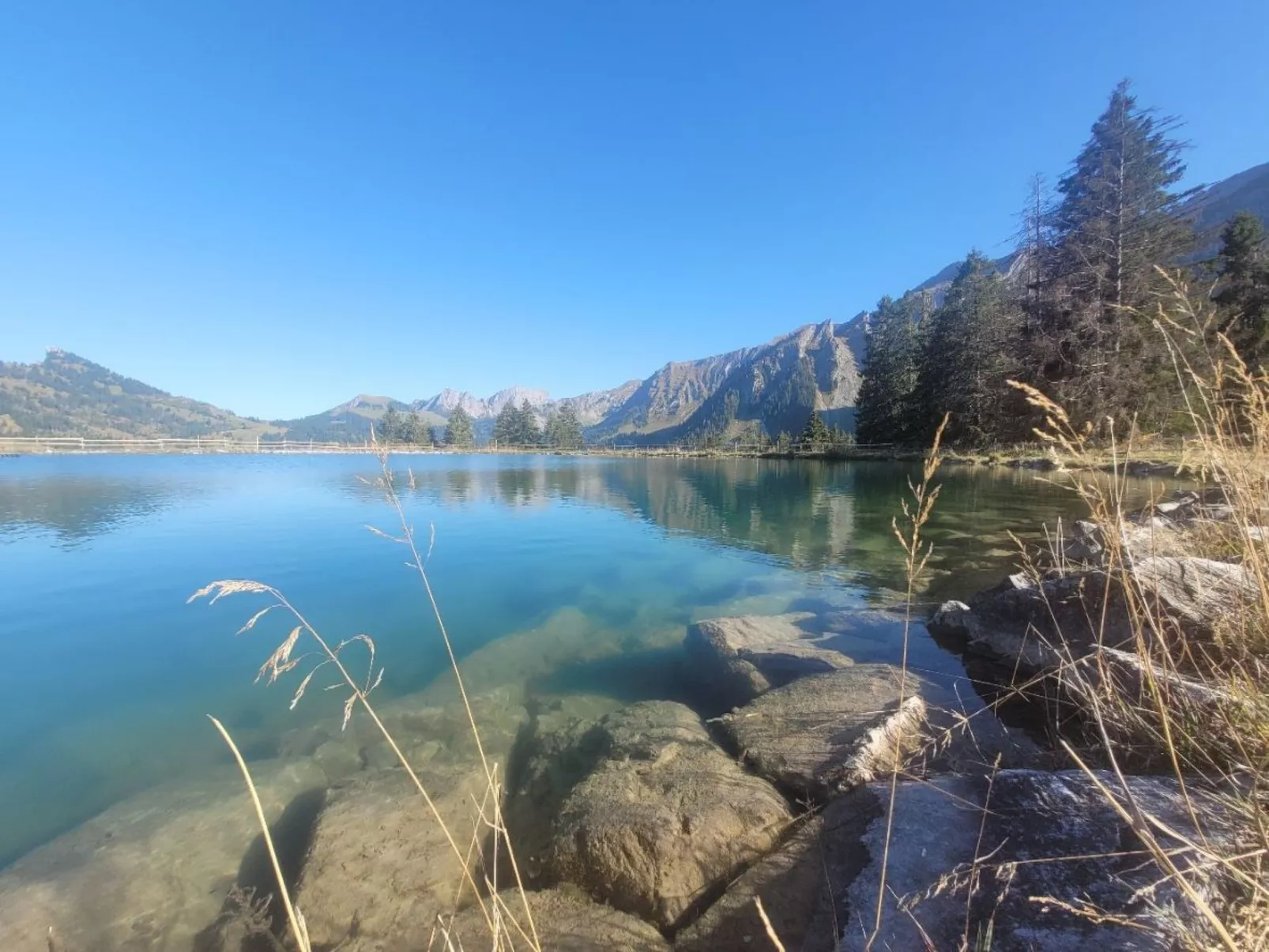 Kolibri Parterre-Buiten
