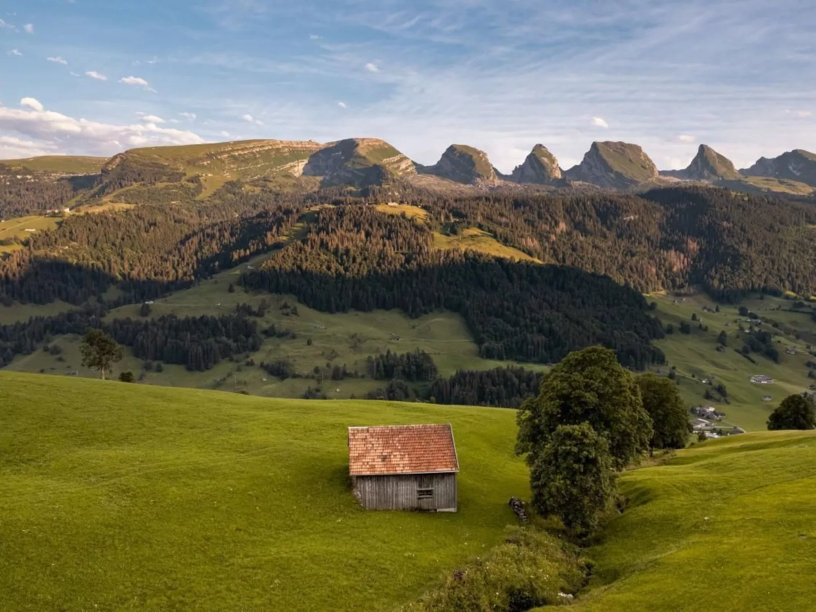 Haldenhof Schwizer-Buiten