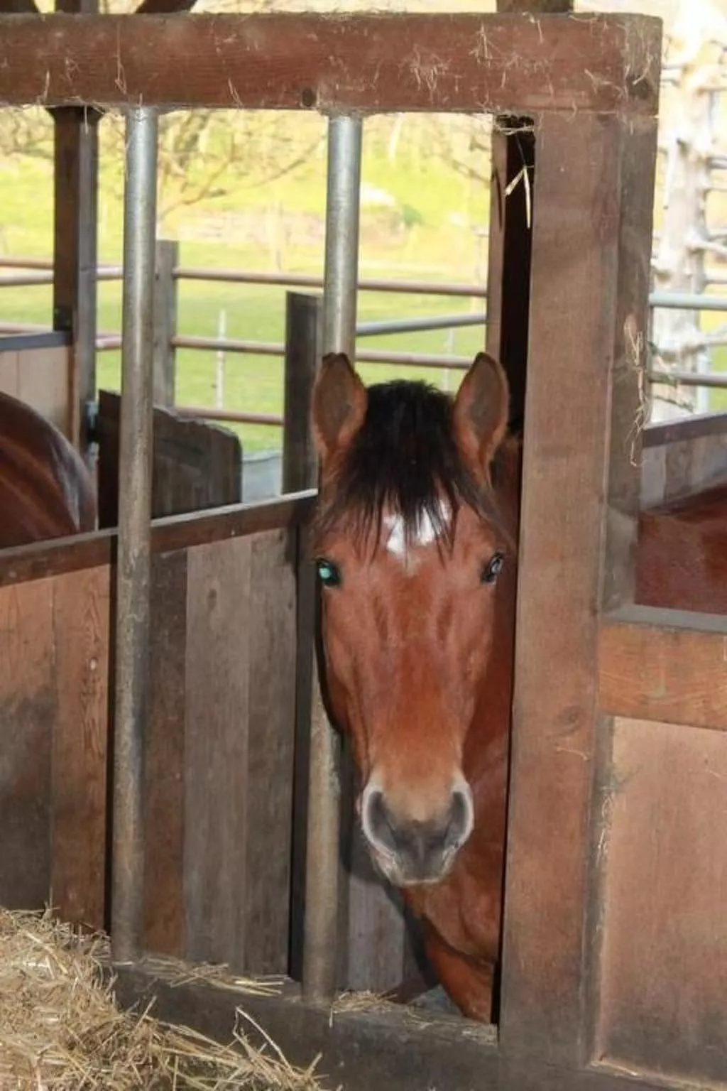 Rosentürmli - Image-tags.info