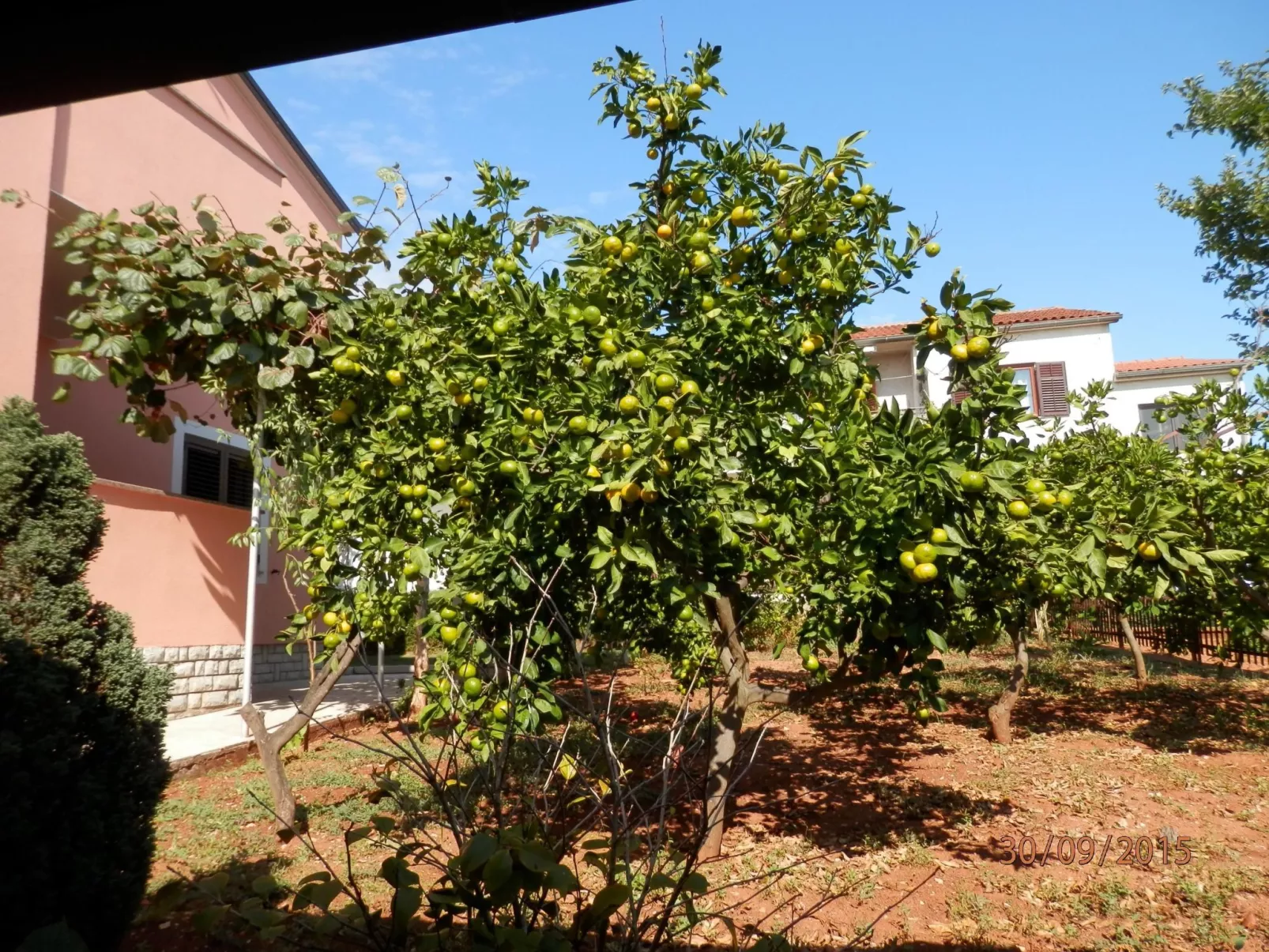 Wohnung "Silva3" direkt am Wasser-Buiten