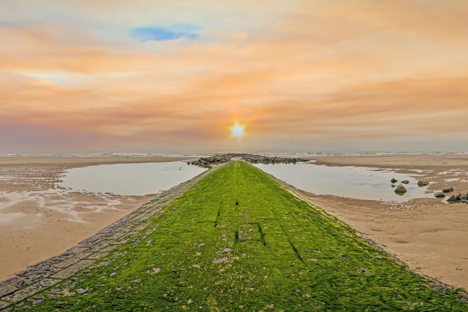 Green Garden blok 2 0303-Gebieden zomer 5km