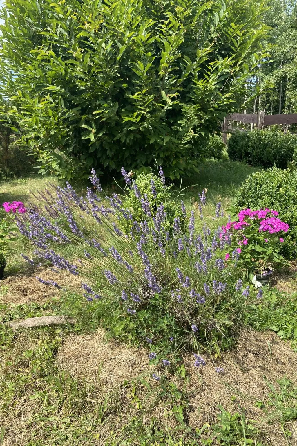 Alte Dorfschule-Image-tags.info