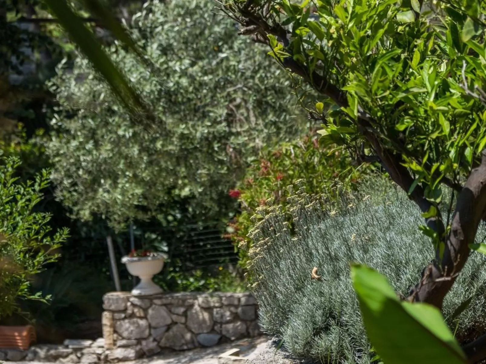 Villa Magnolia - Apartment Gardenia-Image-tags.info