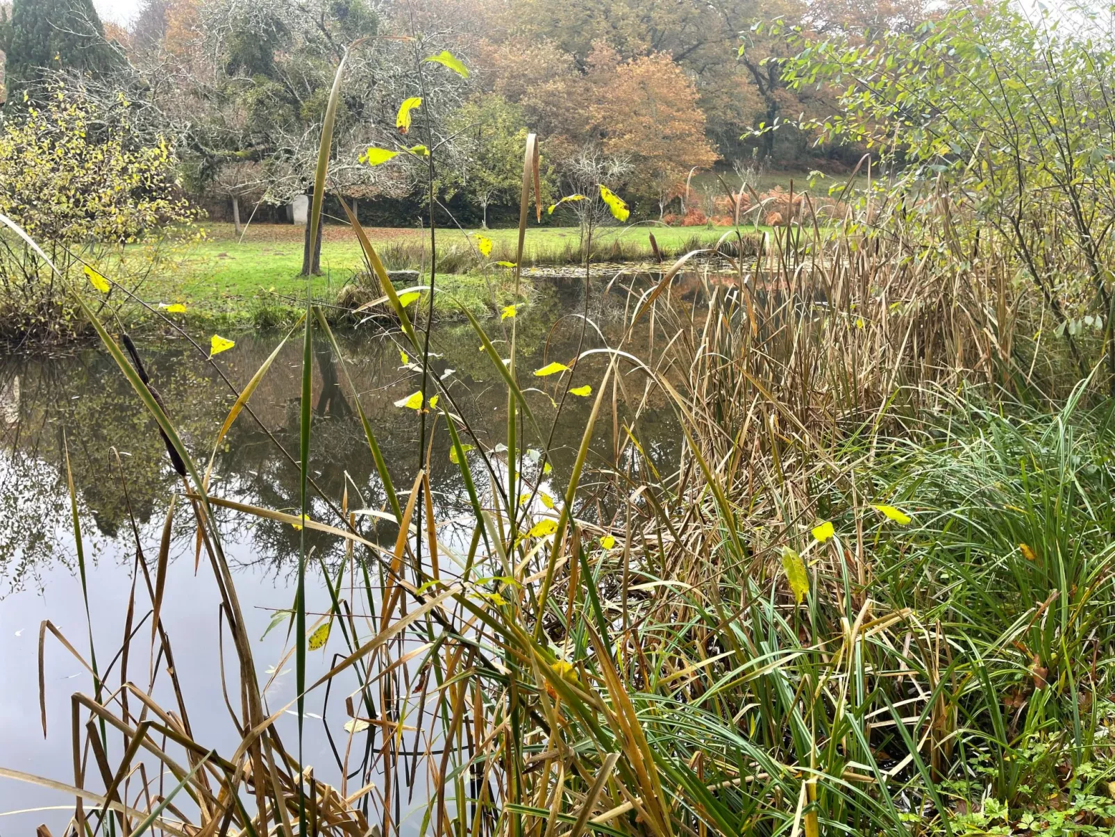 Für 6 Pers. mit eigenem Teich-Binnen
