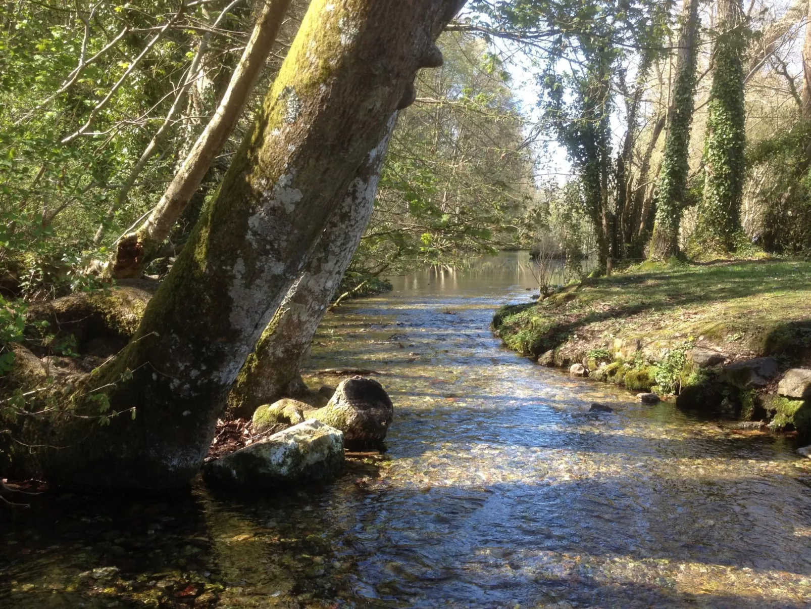 Le Clos du Hêtre-Buiten