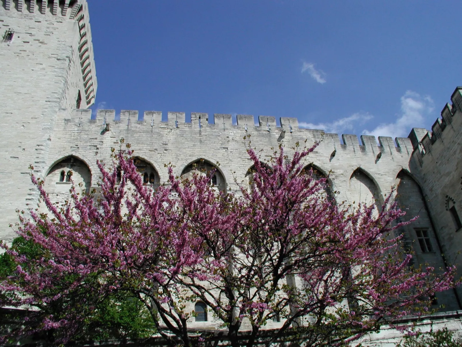 À l'abri du Mistral-Buiten