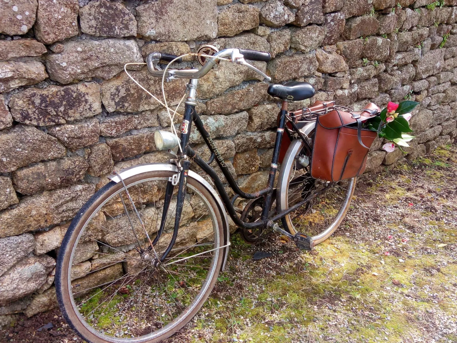 Bretagne Loctudy Haus Les Camélias 3 Personen-Buiten