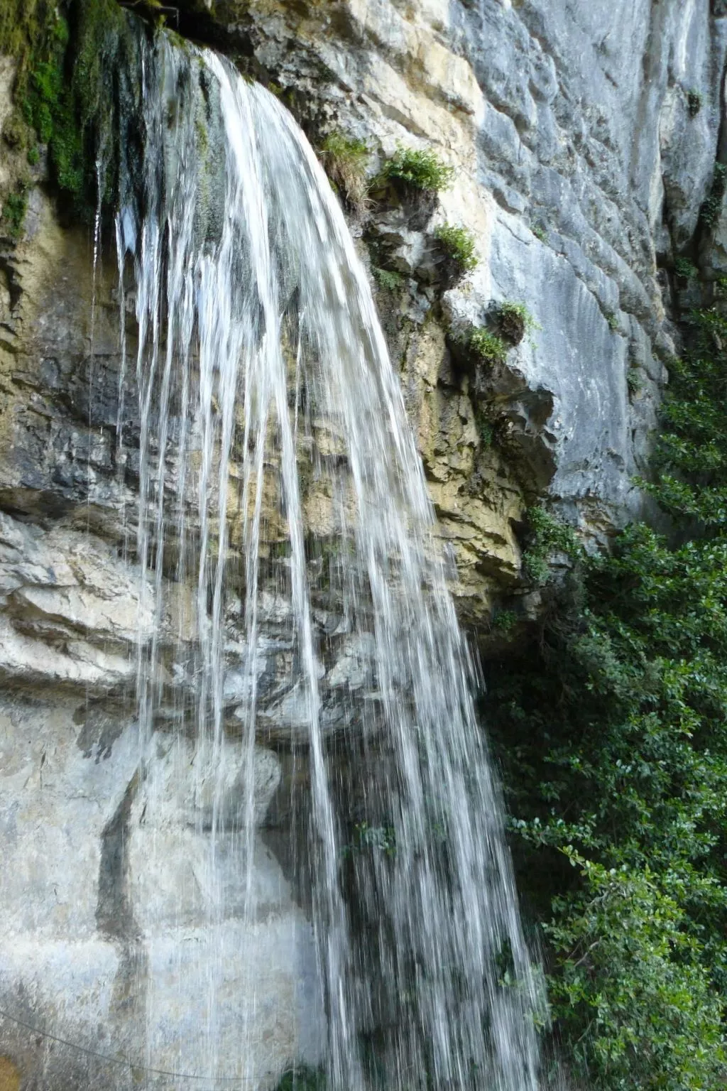 "Au Crêt du Bois" (Auf dem Wald)-Buiten