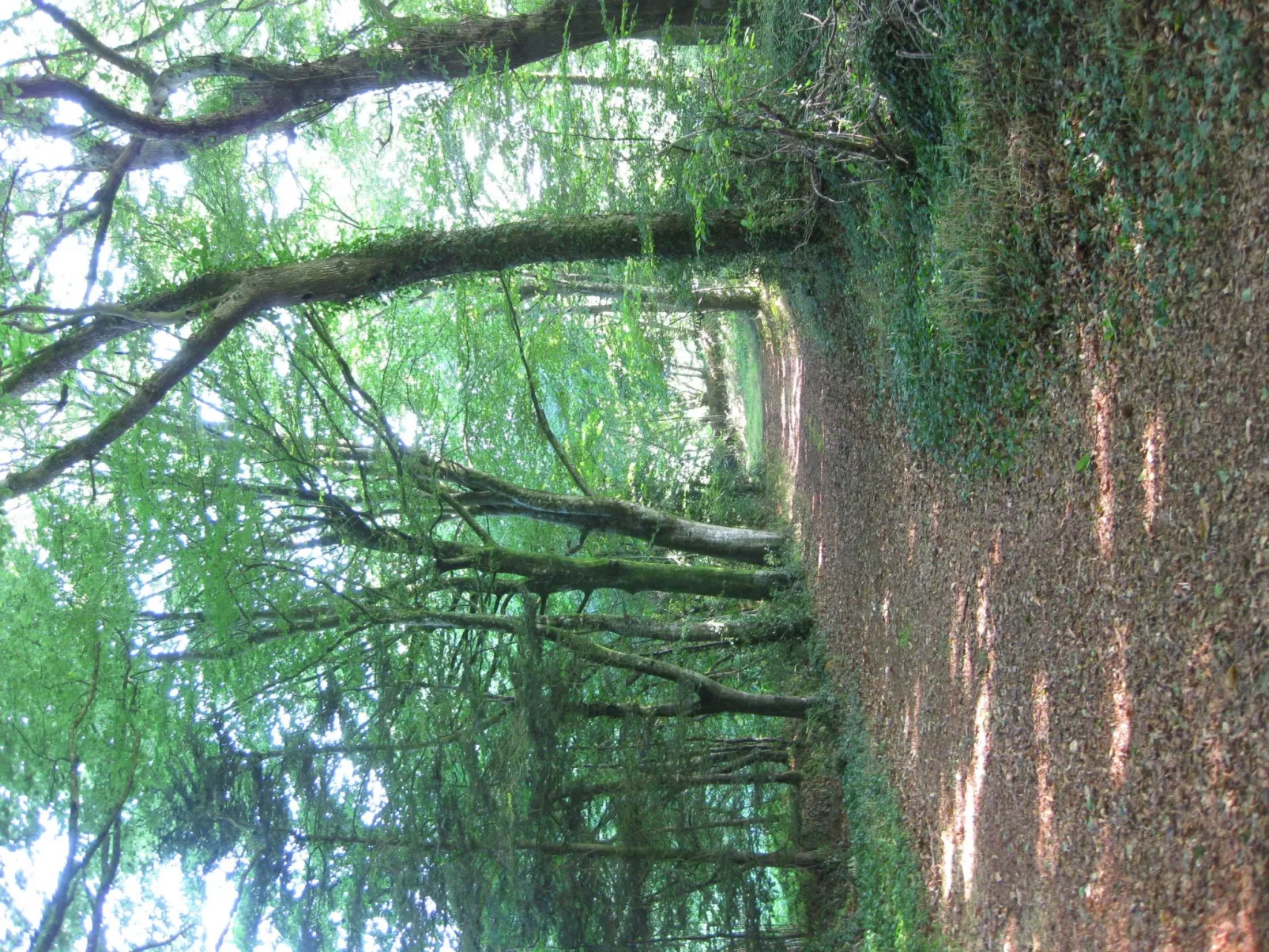 Hütte für vier Personen-Buiten