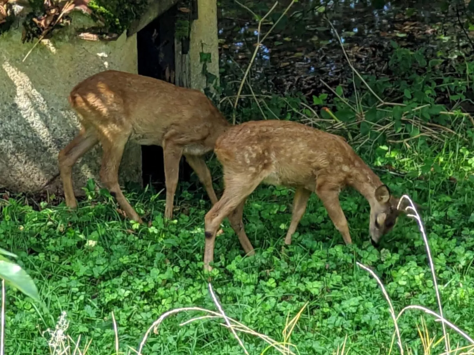 Im Herzen des Périgord Noir in der Nähe von Limeuil-Buiten