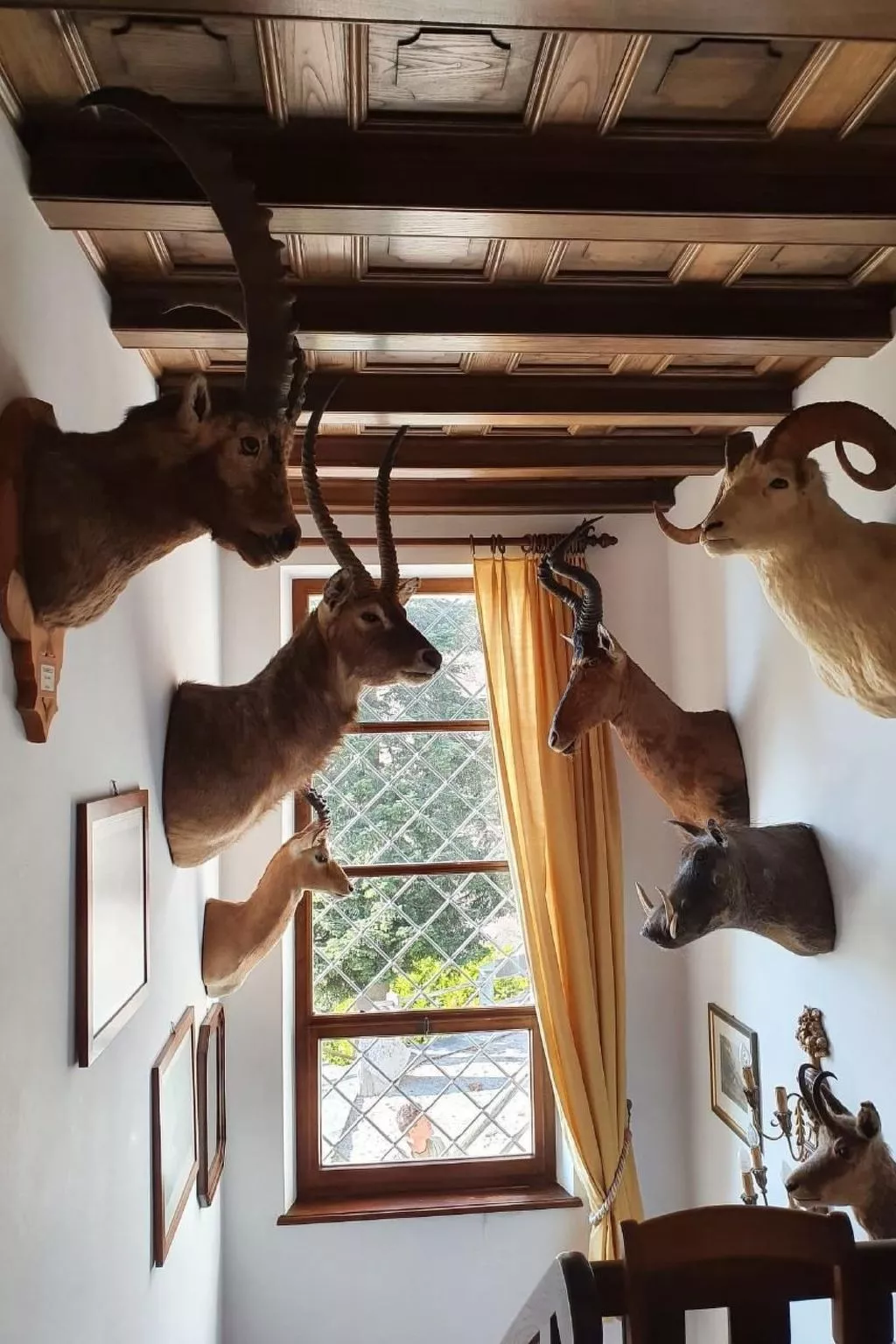 "Haus St. Bernhard-Binnen