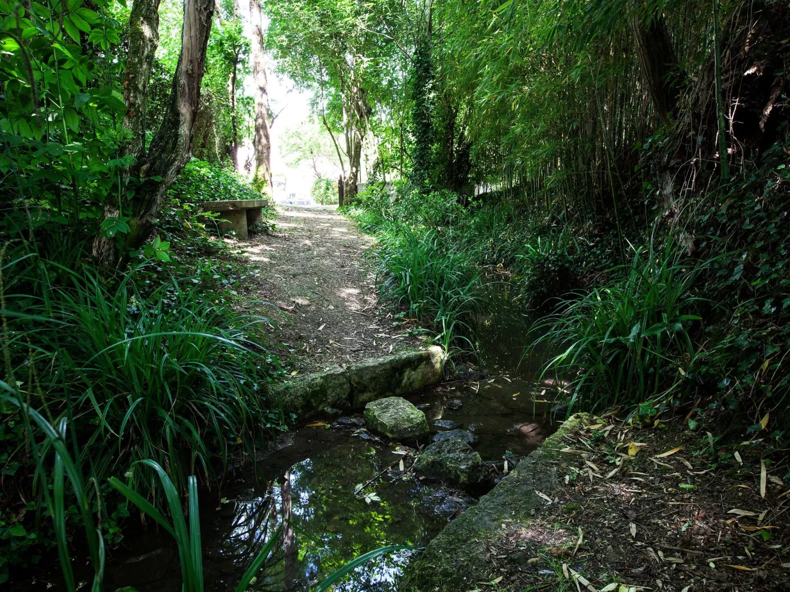 "Gite de Guillemat"-Buiten