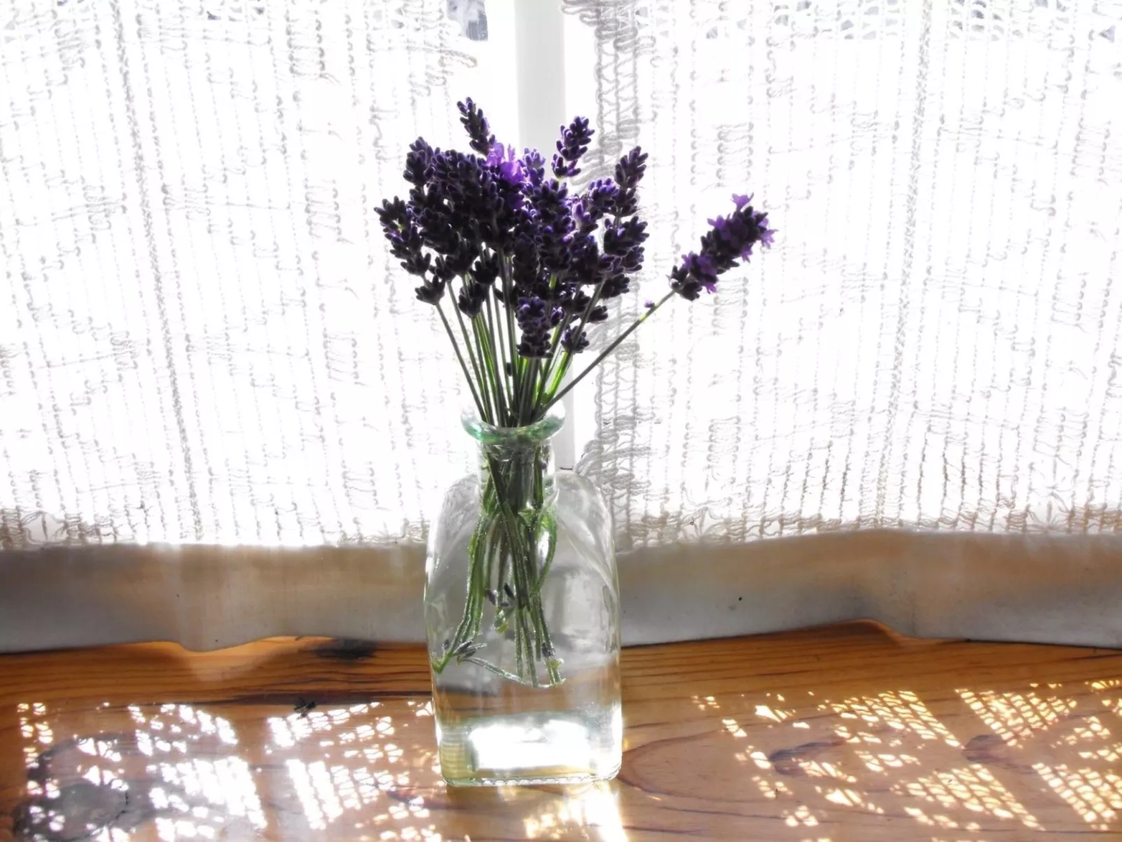 Kleiner Kokon mit seinem geheimen Garten-Binnen