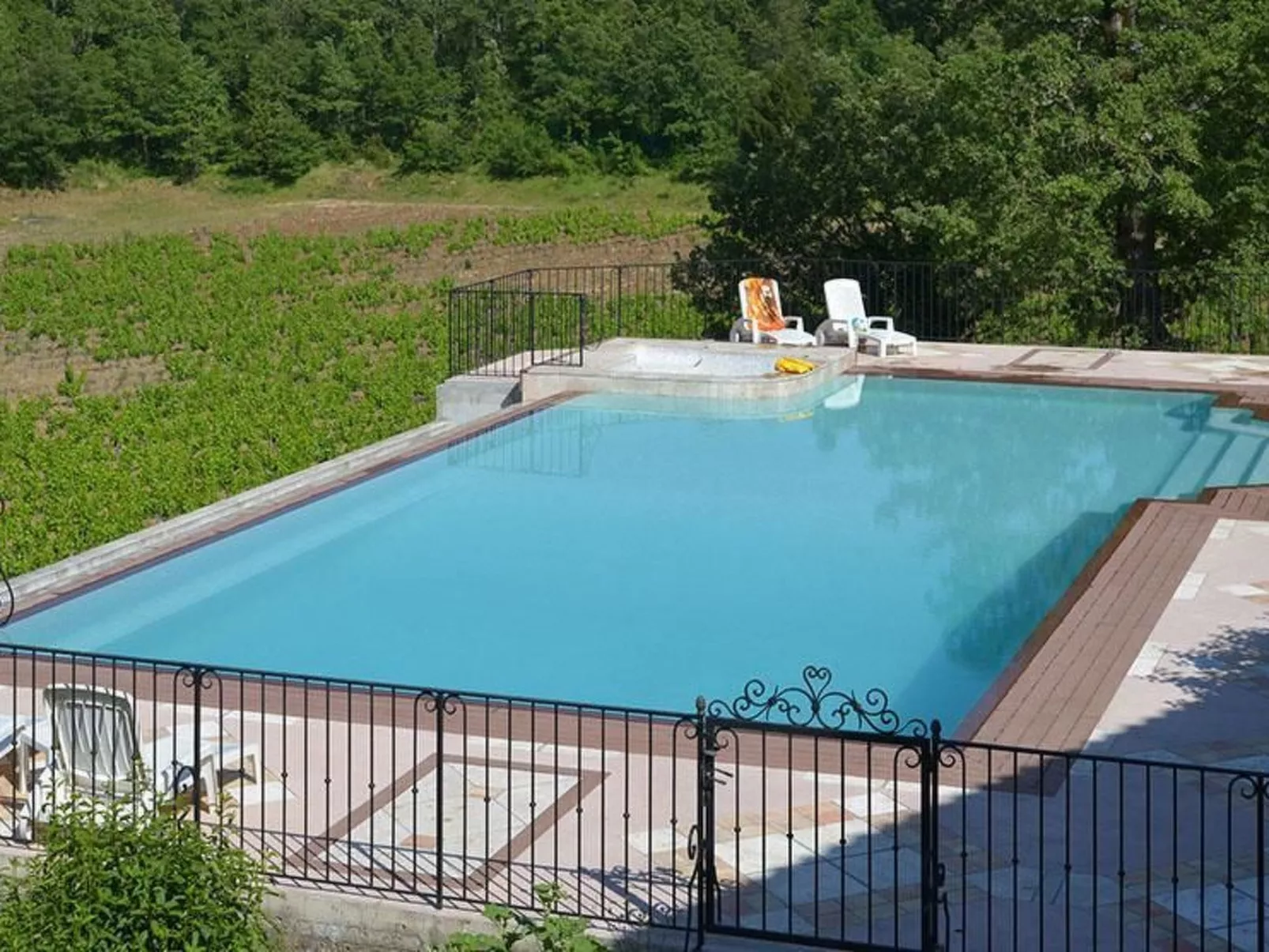 Gemütliches Studio inmitten von Weinbergen und Olivenbäumen-Buiten