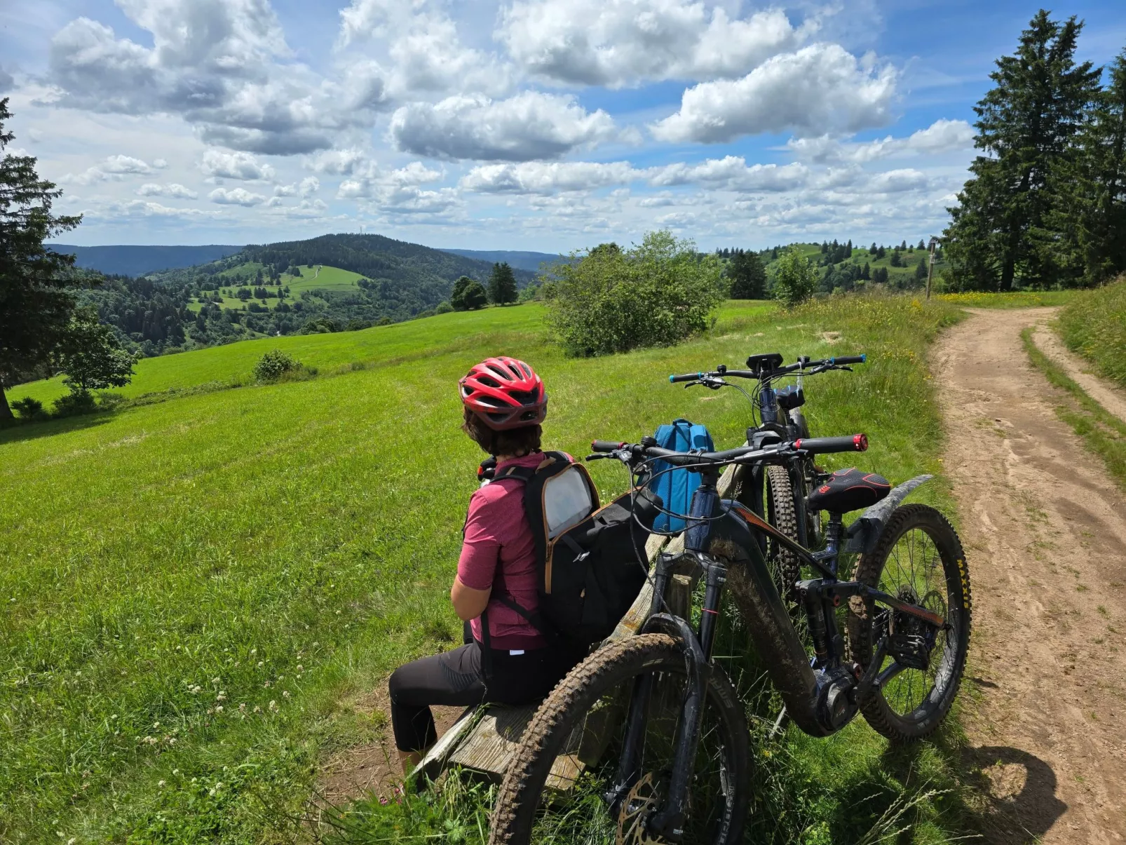 Le Chalet Sous Les Sapins, mit Swimmingpool, Sauna-Buiten
