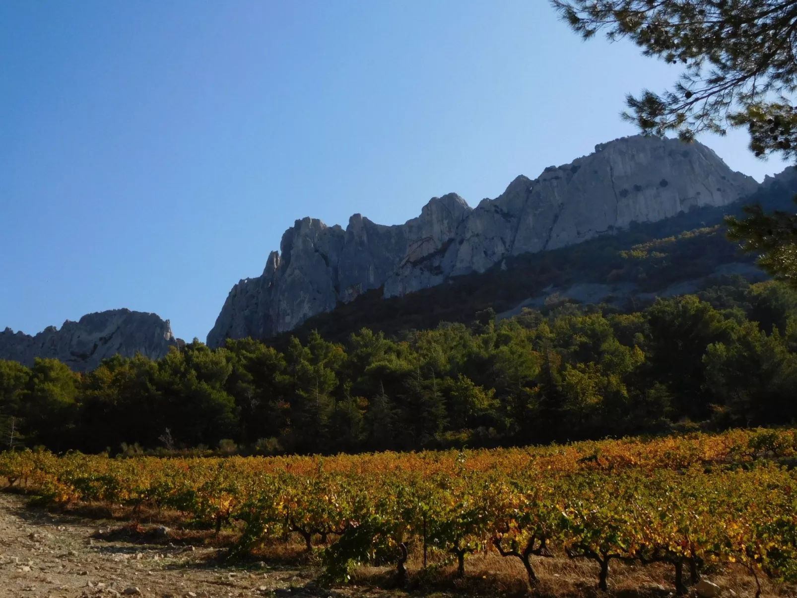 Charmantes Bauernhaus in der Provence-Image-tags.info