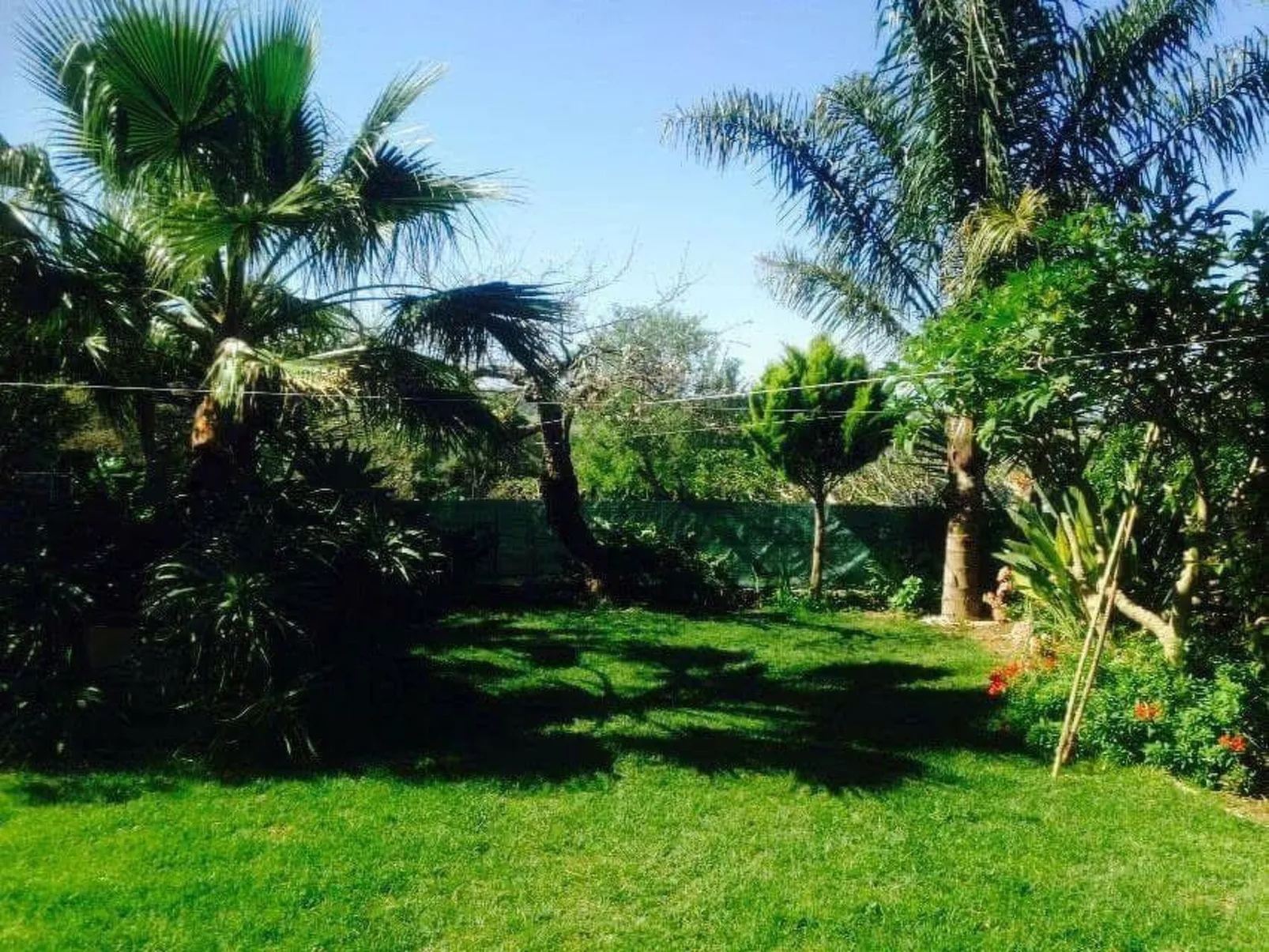 Für 4 Personen in Algoz, Algarve-Buiten