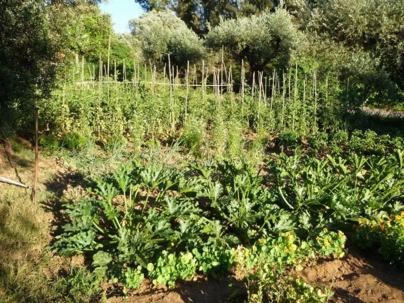 Mit Sonnenterrasse und großem Garten-Buiten