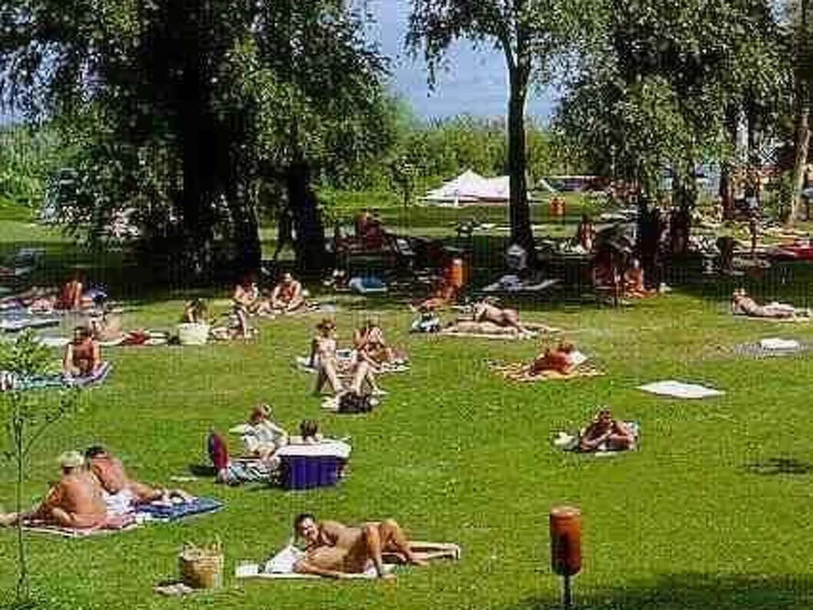 Appartement mit Terrasse-Buiten