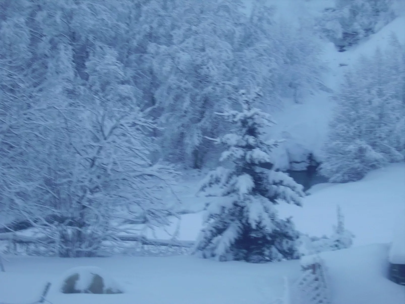 Wohnung in Chalet-Buiten