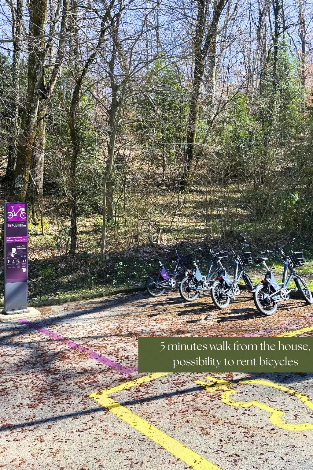 Appartamento vacanze "Luxus-Wohnung"-Buiten