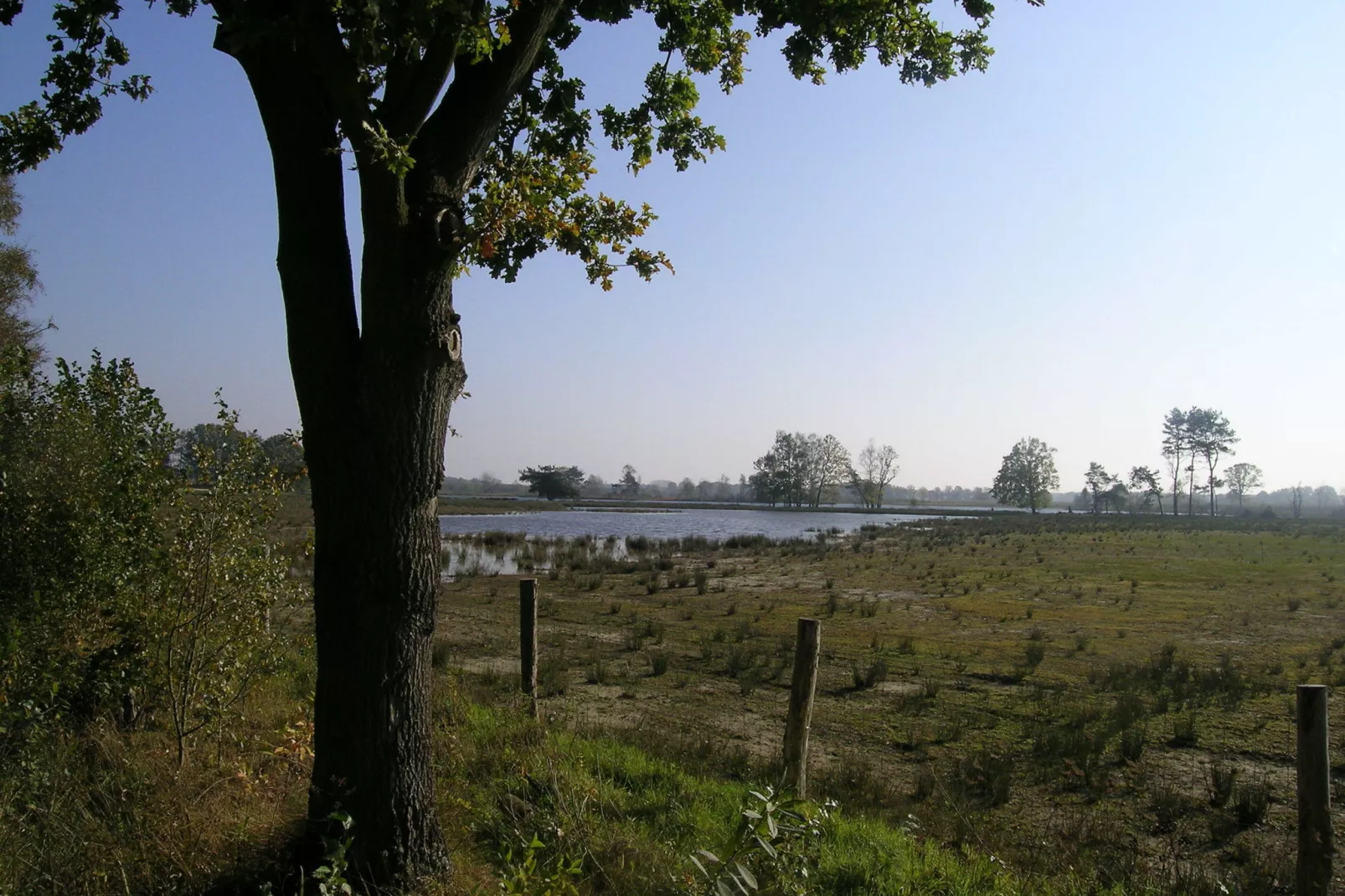 Baalse Hei 3-Gebieden zomer 1km