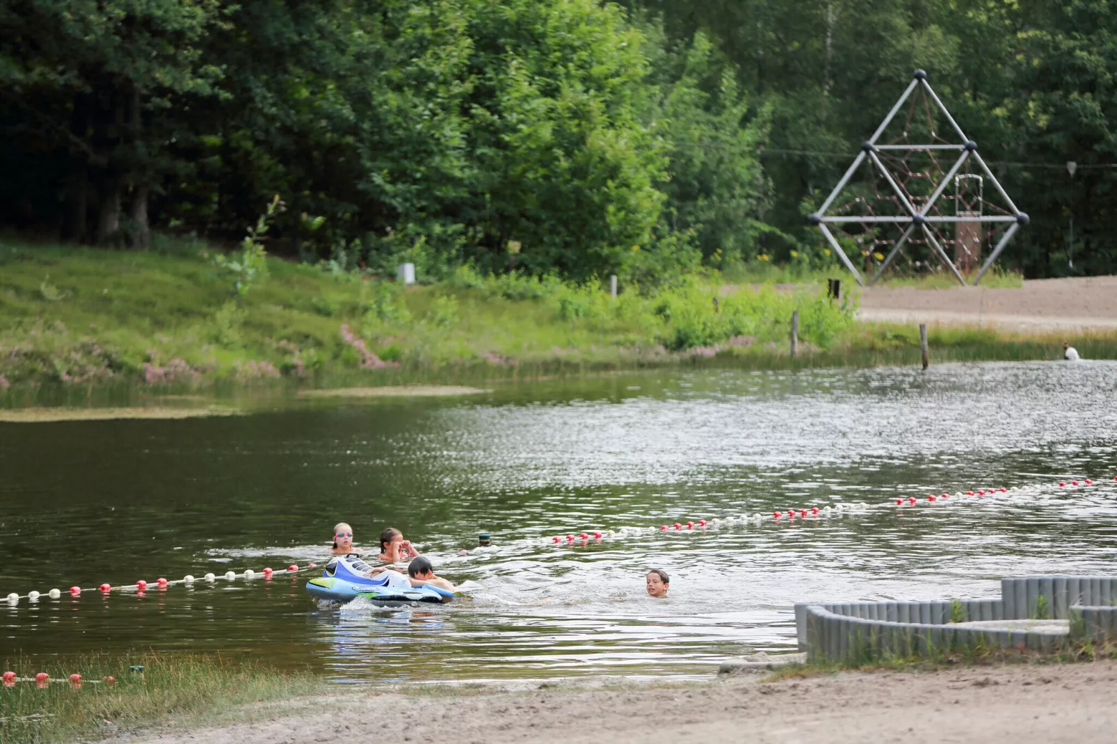 Baalse Hei 3-Gebieden zomer 1km