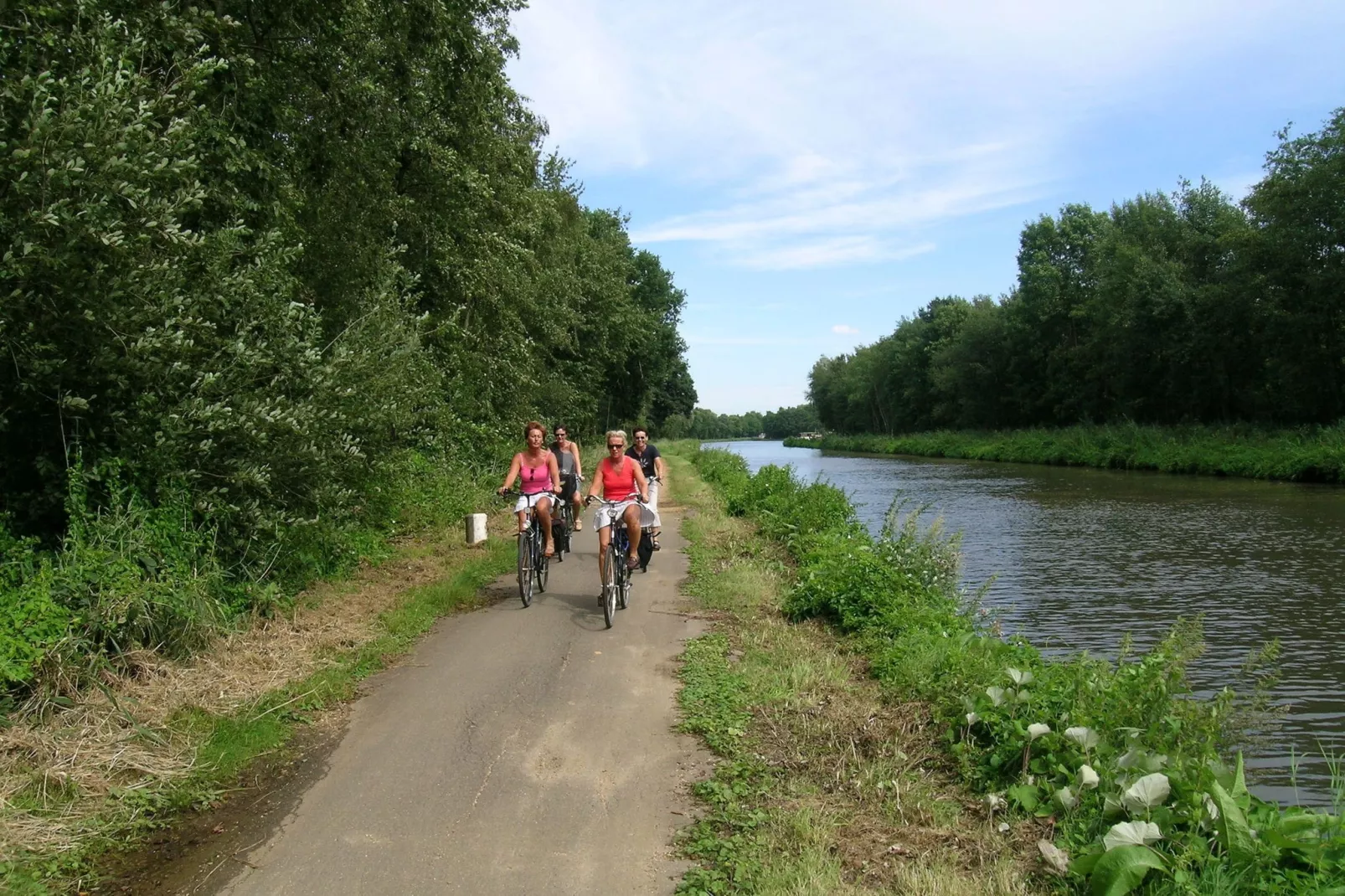 Baalse Hei 3-Gebieden zomer 20km