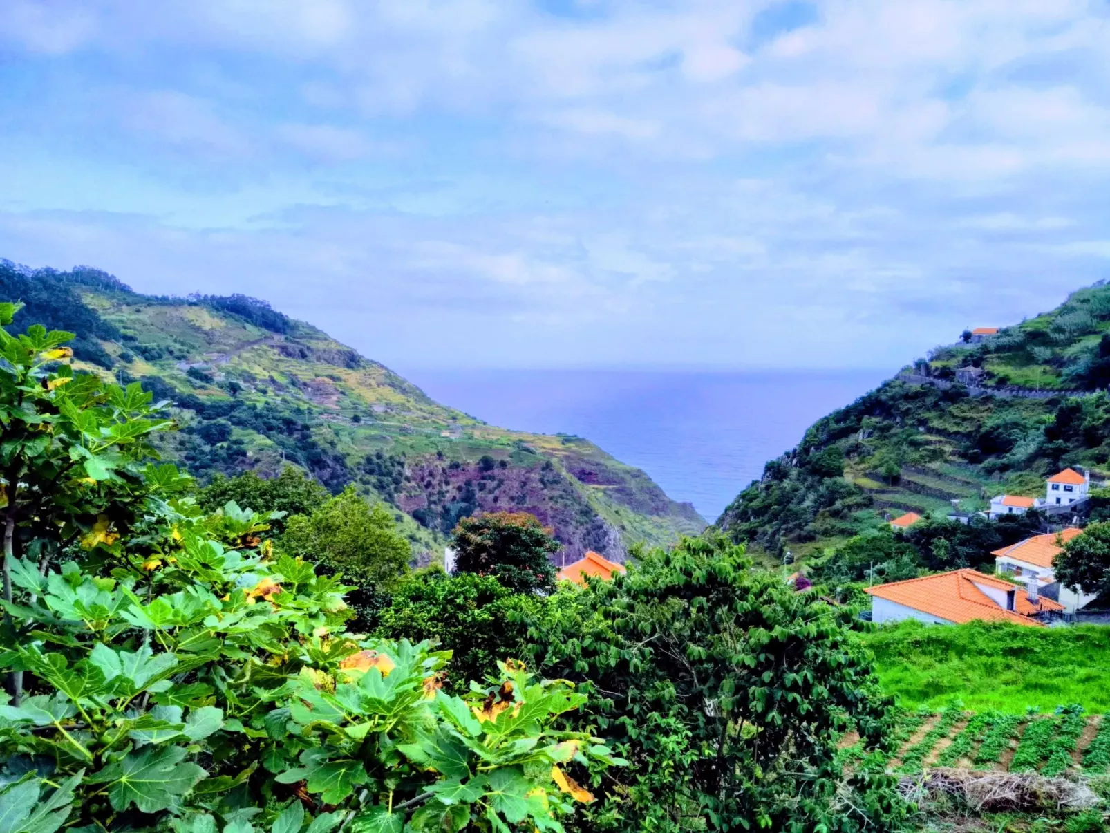 Quinta do Serrado-Buiten