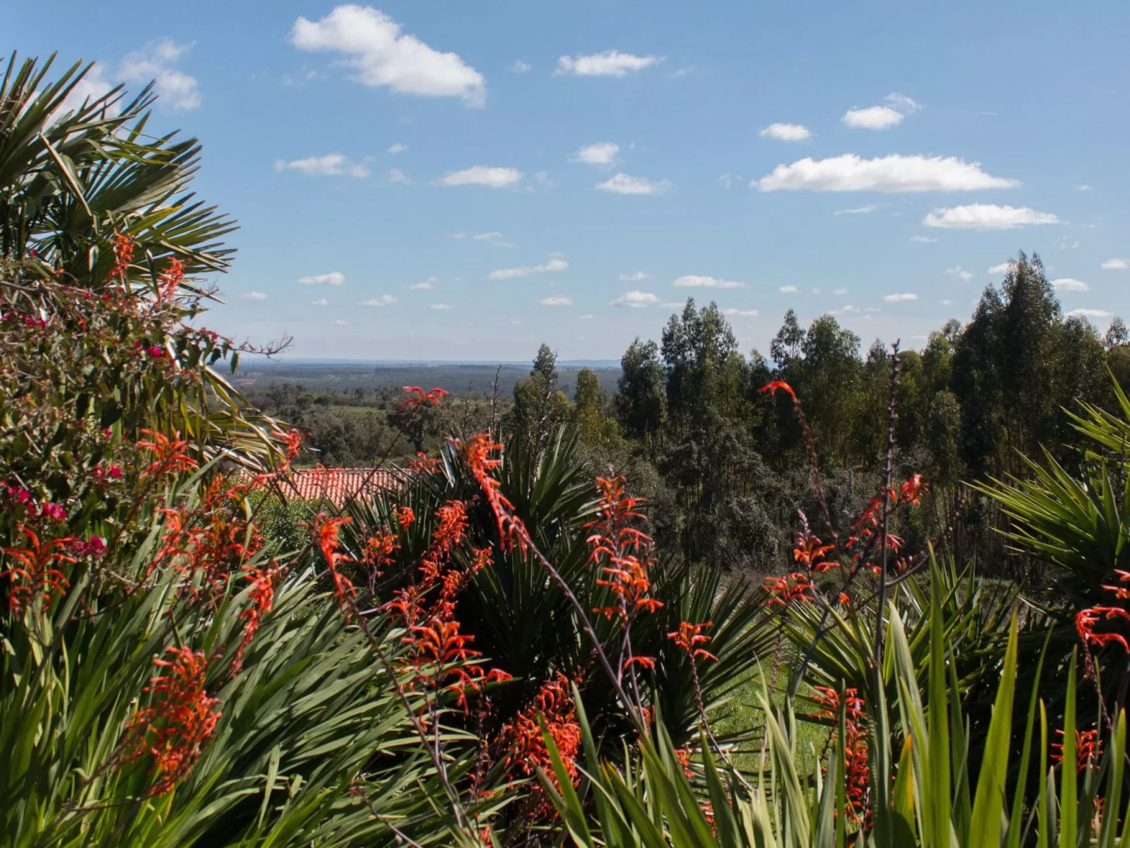 Monte Horizonte Casa Passaro Öko und Natur-Buiten