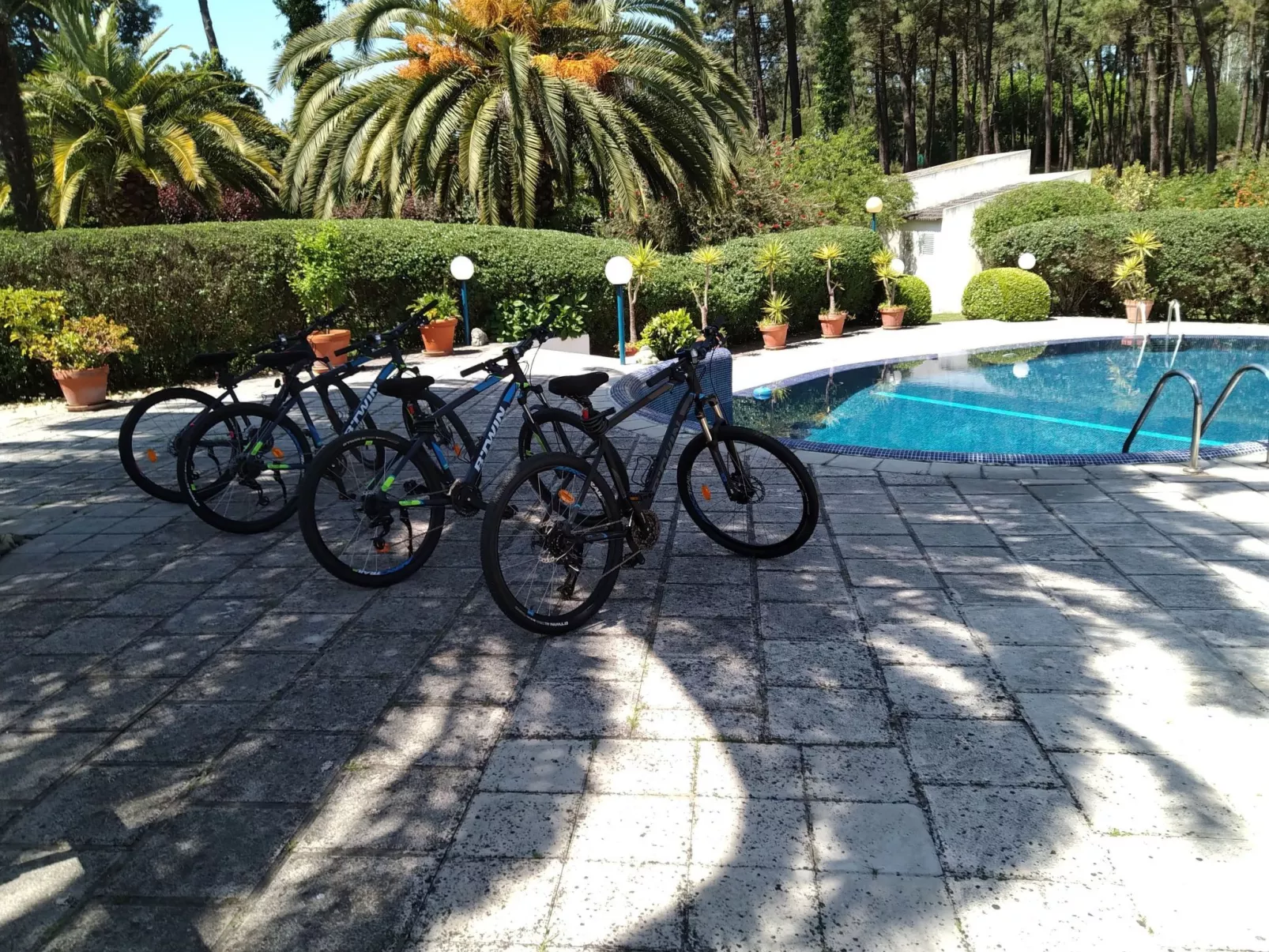 Villa das Palmeiras mit großem Schwimmbad-Image-tags.info