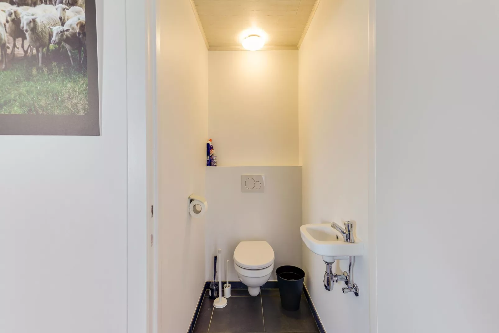 IN DE WOLLEKJES  “slapen bij of tussen de schapen”-Badkamer