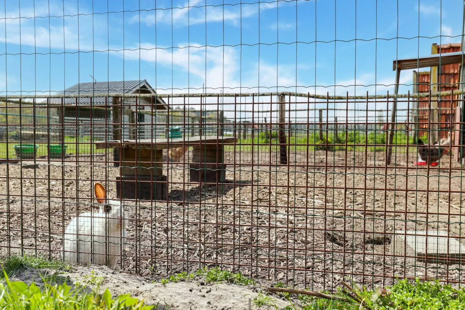 IN DE WOLLEKJES  “slapen bij of tussen de schapen”-Parkfaciliteiten
