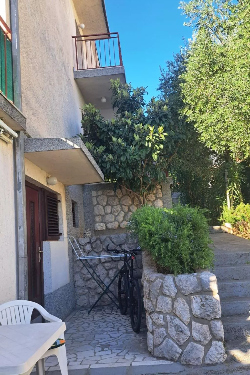 Višnja 2-Image-tags.info