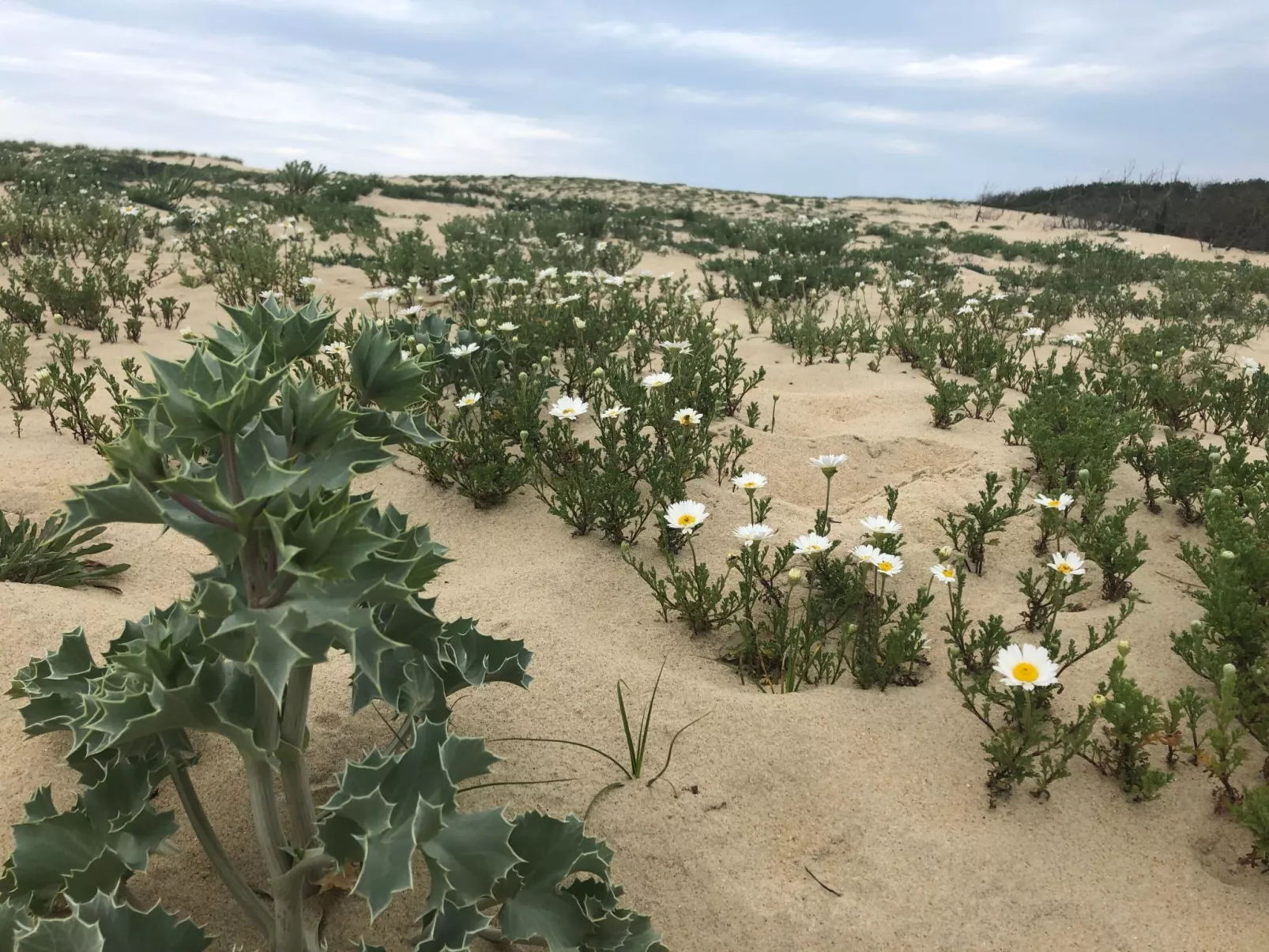Hübsches kleines Haus in ruhiger Lage in einer baumbestandenen Residenz mit beh-Image-tags.info