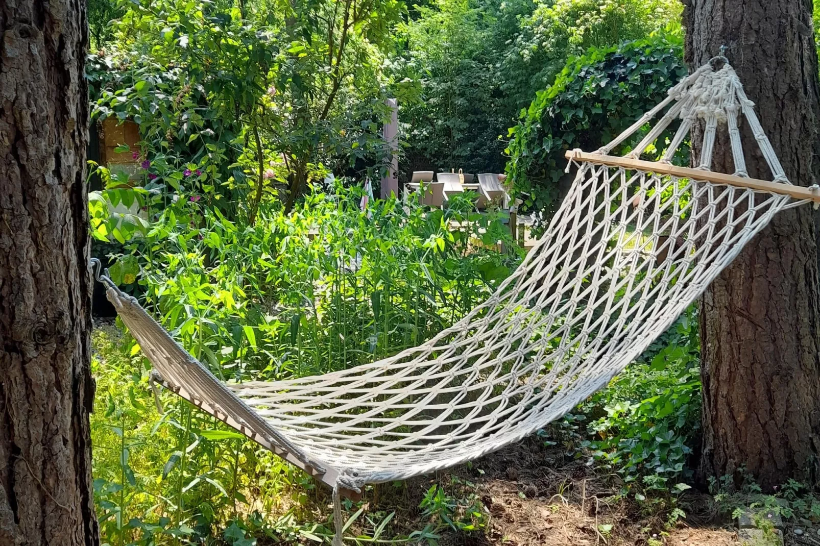 Oud-Turnhout-Tuinen zomer