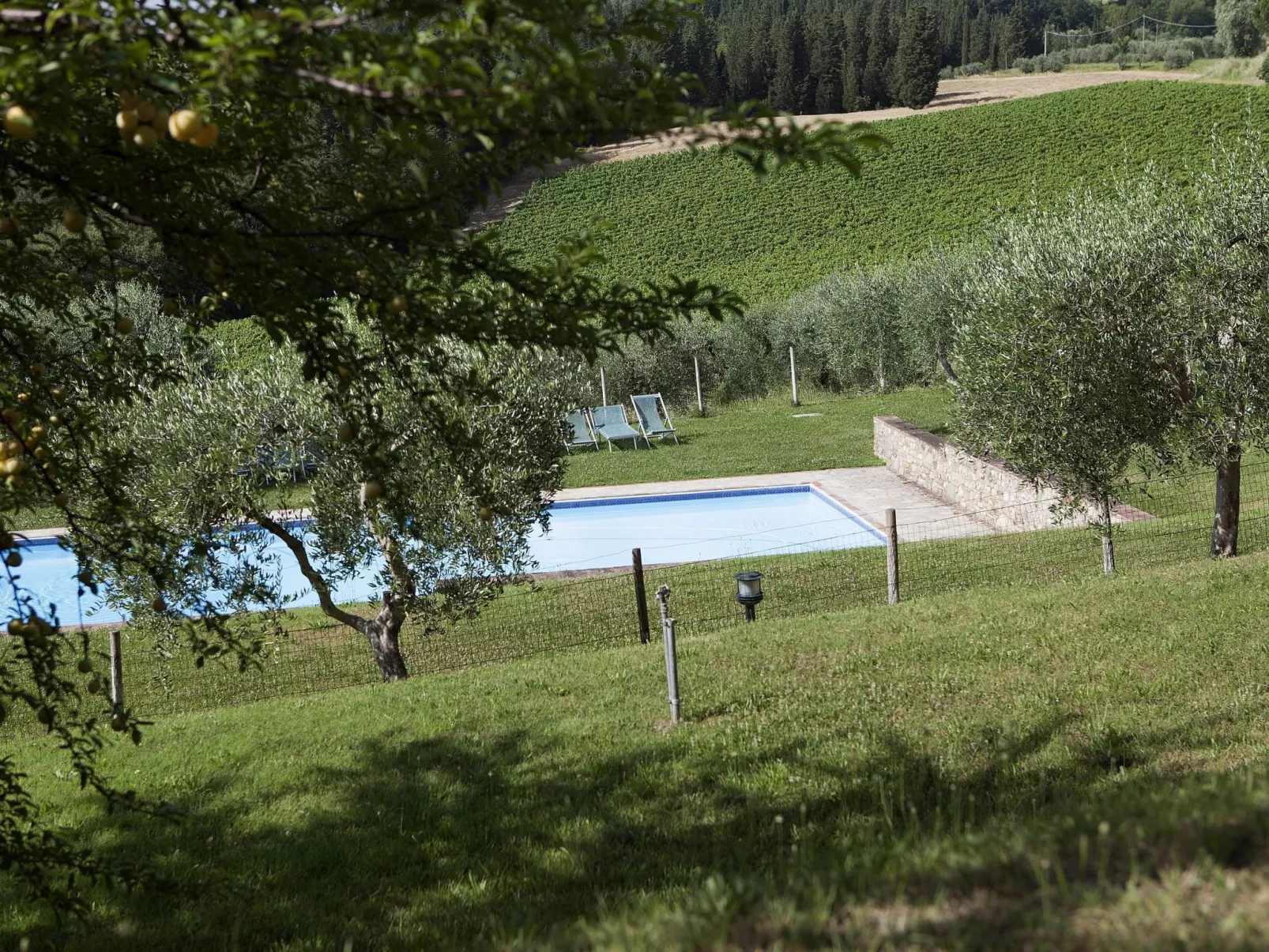 'Pini capponi' mit Pool-Buiten