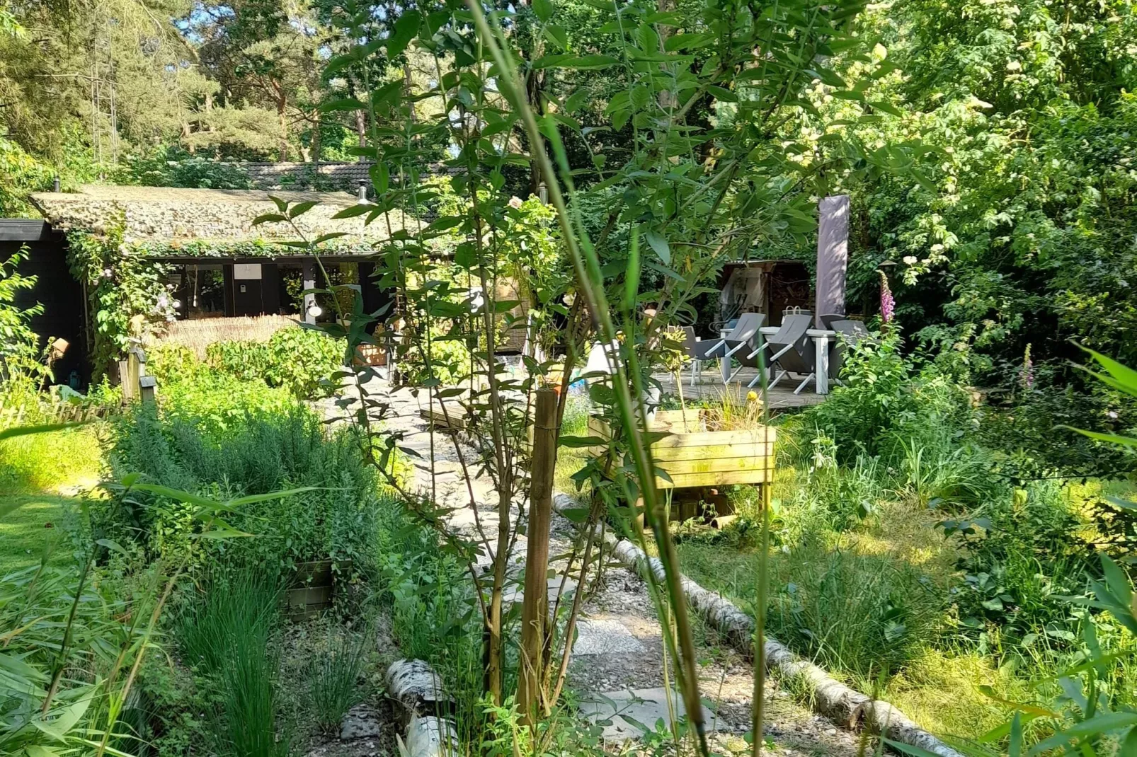 Oud-Turnhout-Tuinen zomer